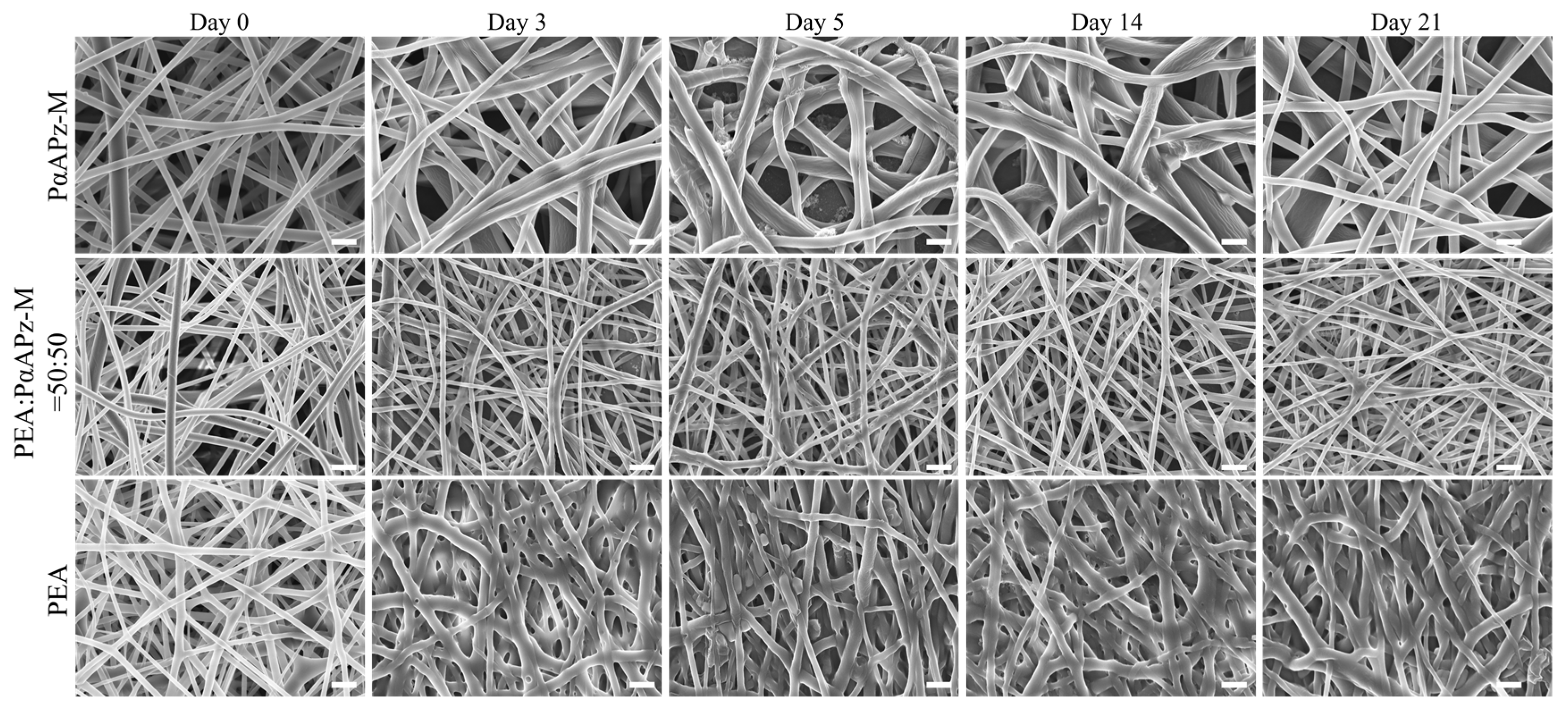 Pharmaceutics 15 02546 g004