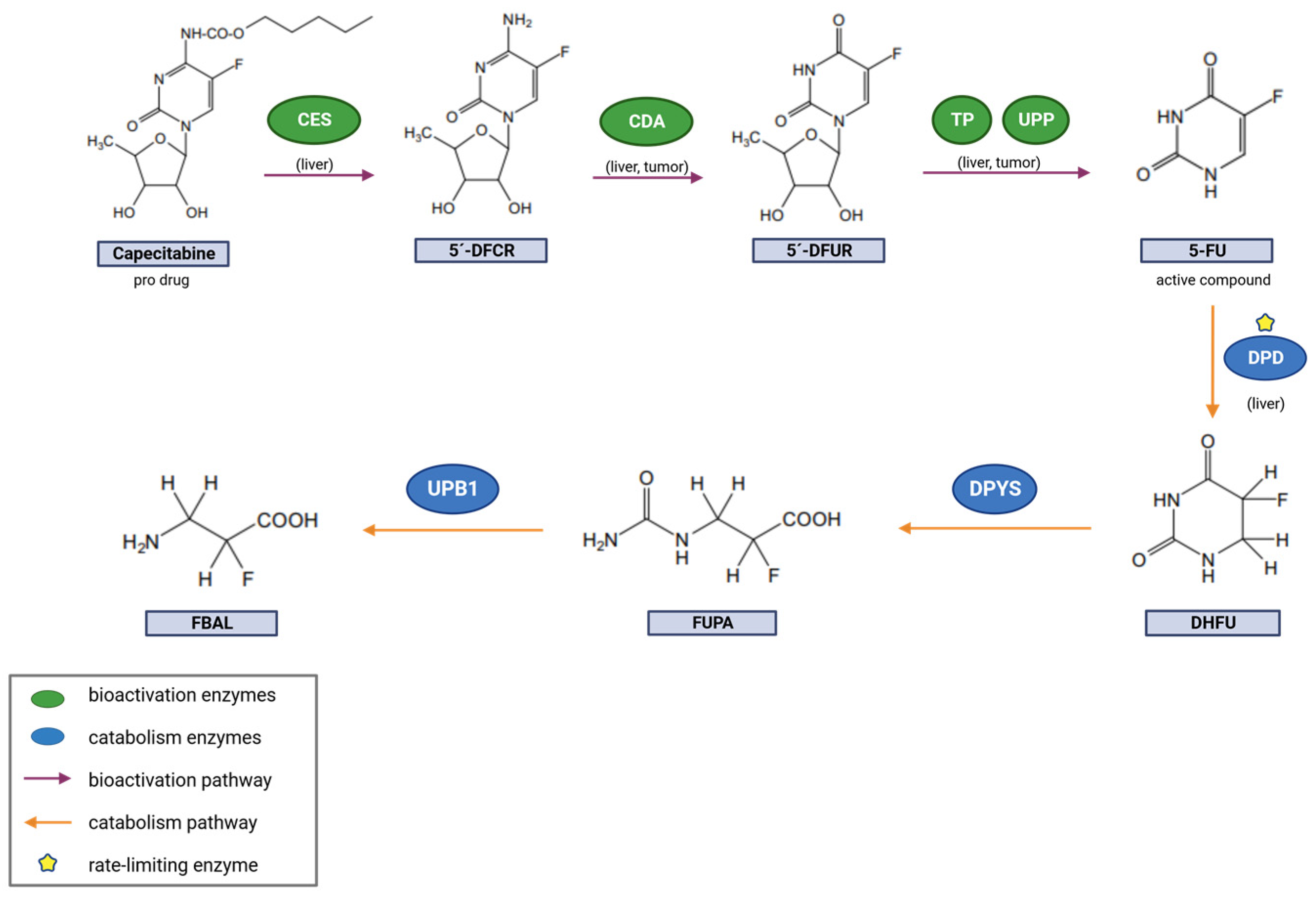 Pharmaceutics 15 02548 g001
