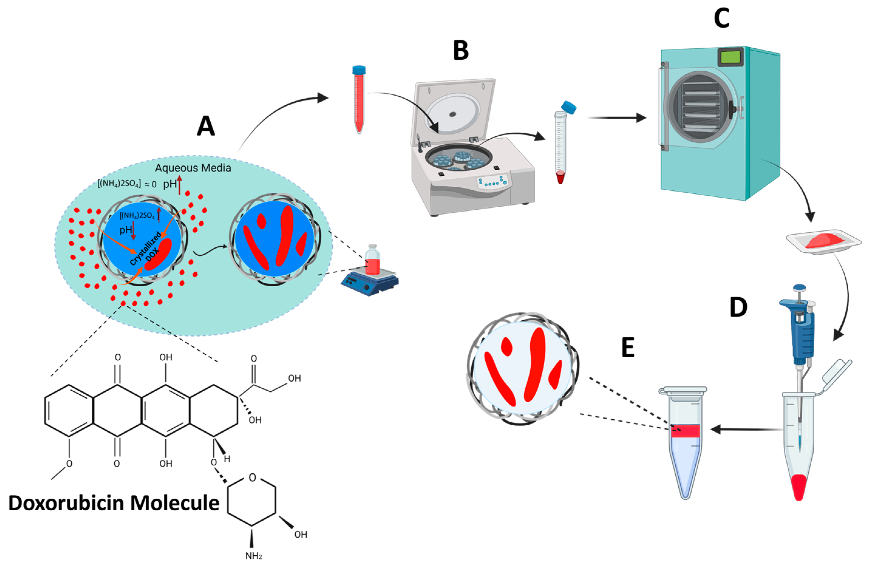 Pharmaceutics 15 02550 g001