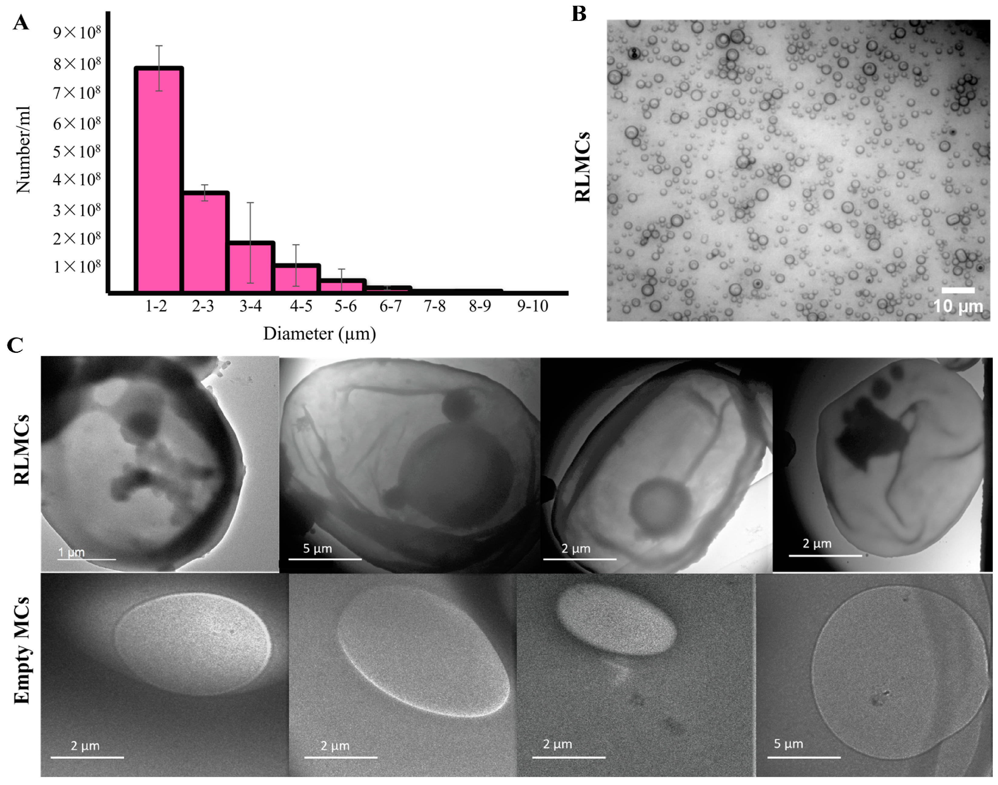 Pharmaceutics 15 02550 g004