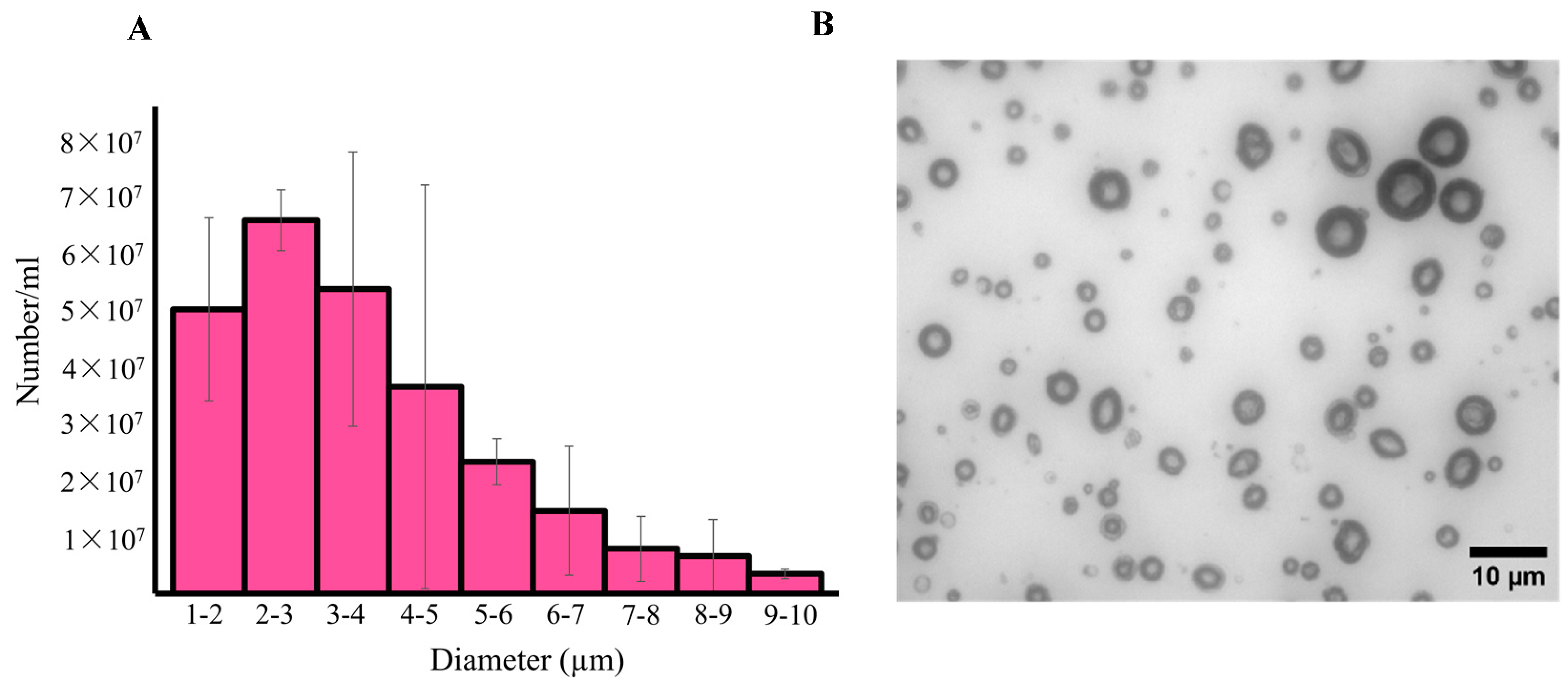 Pharmaceutics 15 02550 g005a