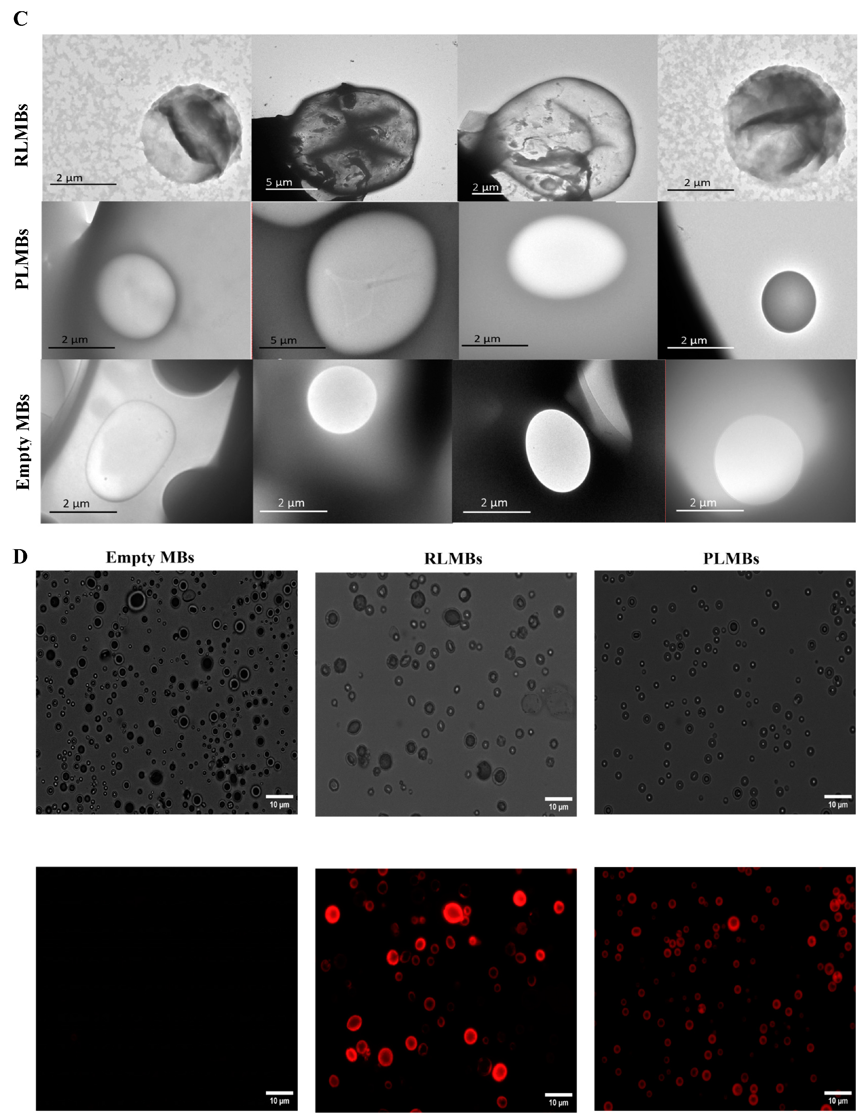 Pharmaceutics 15 02550 g005b
