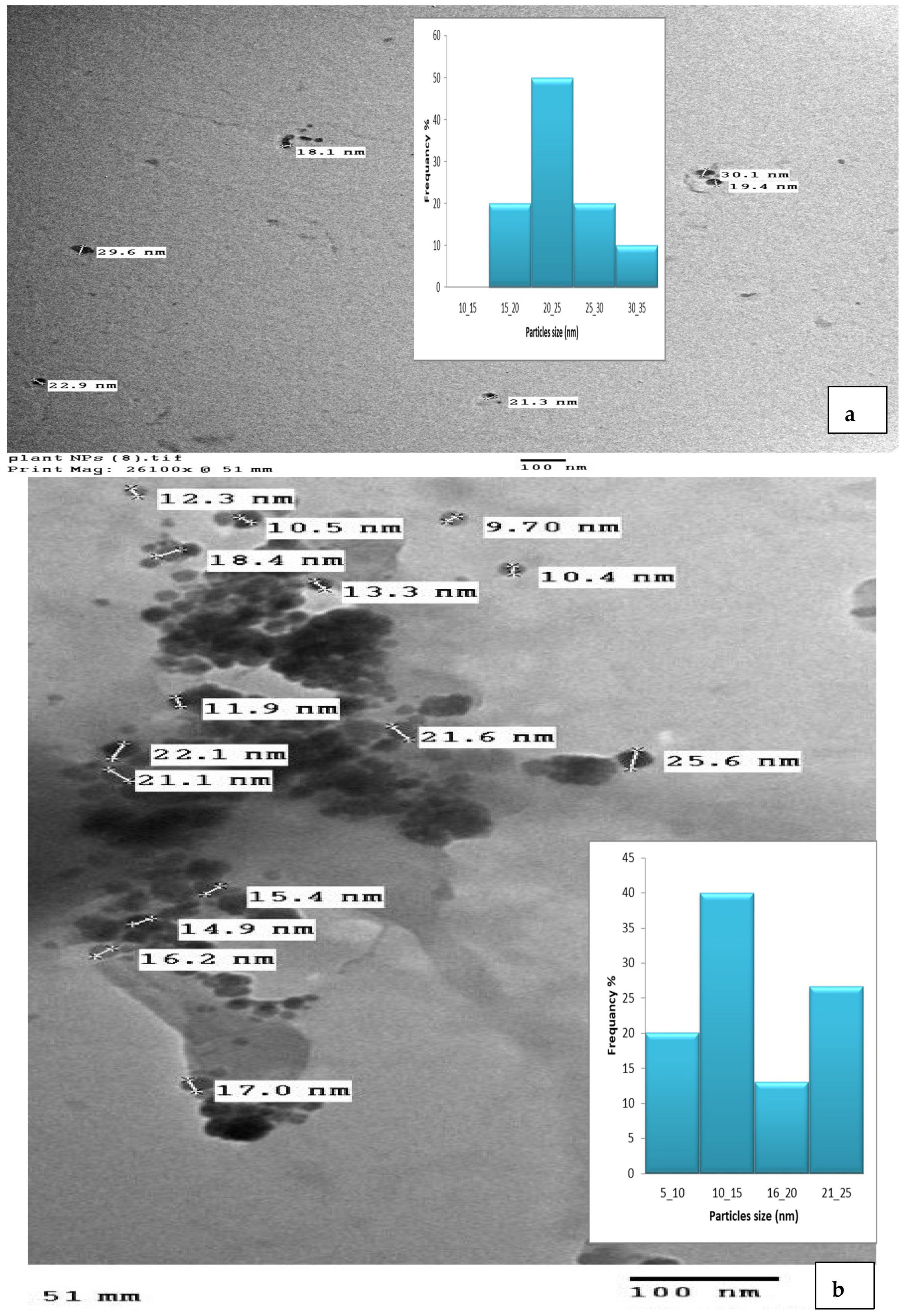 Pharmaceutics 15 02551 g006