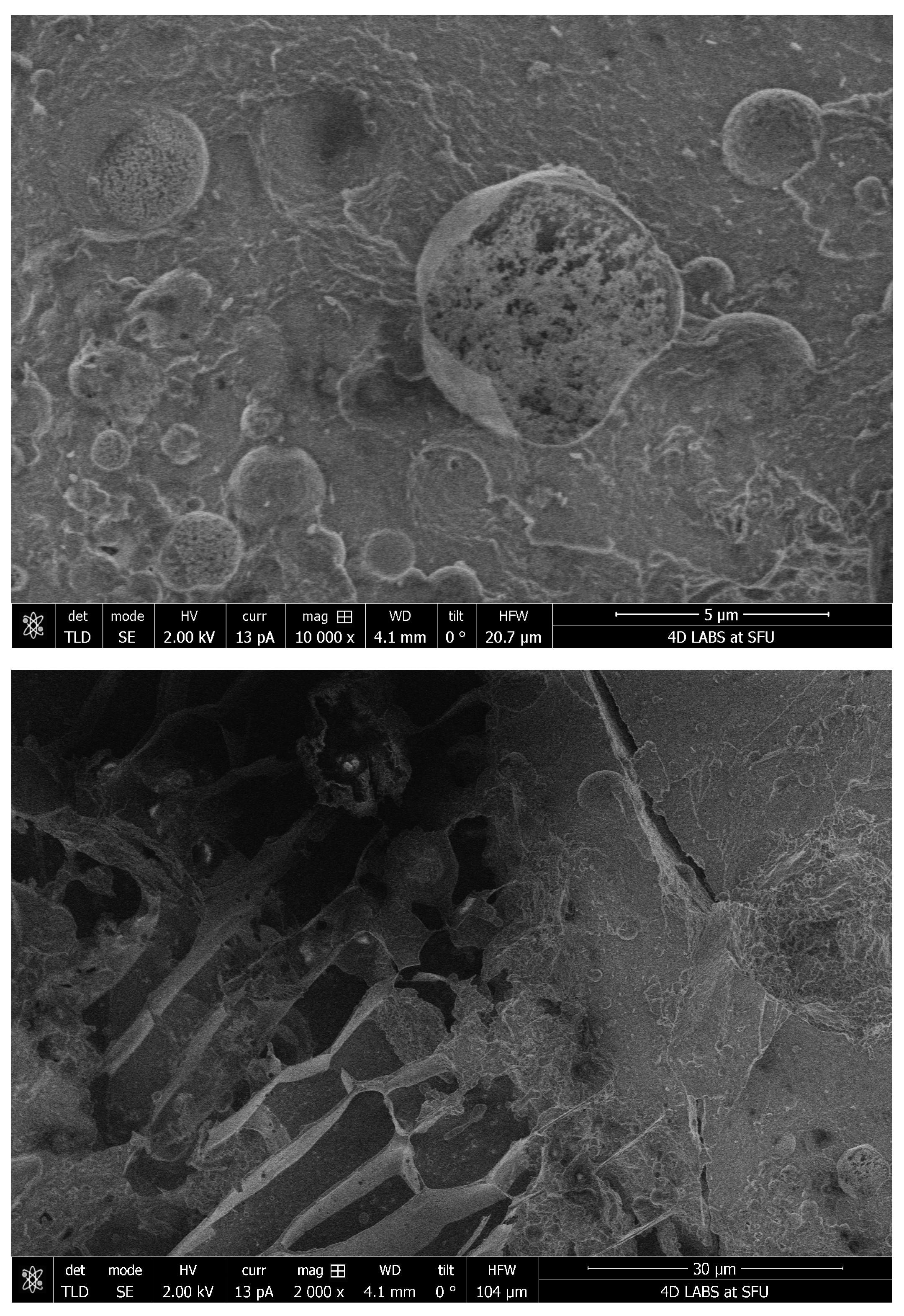 Pharmaceutics 15 02567 g007