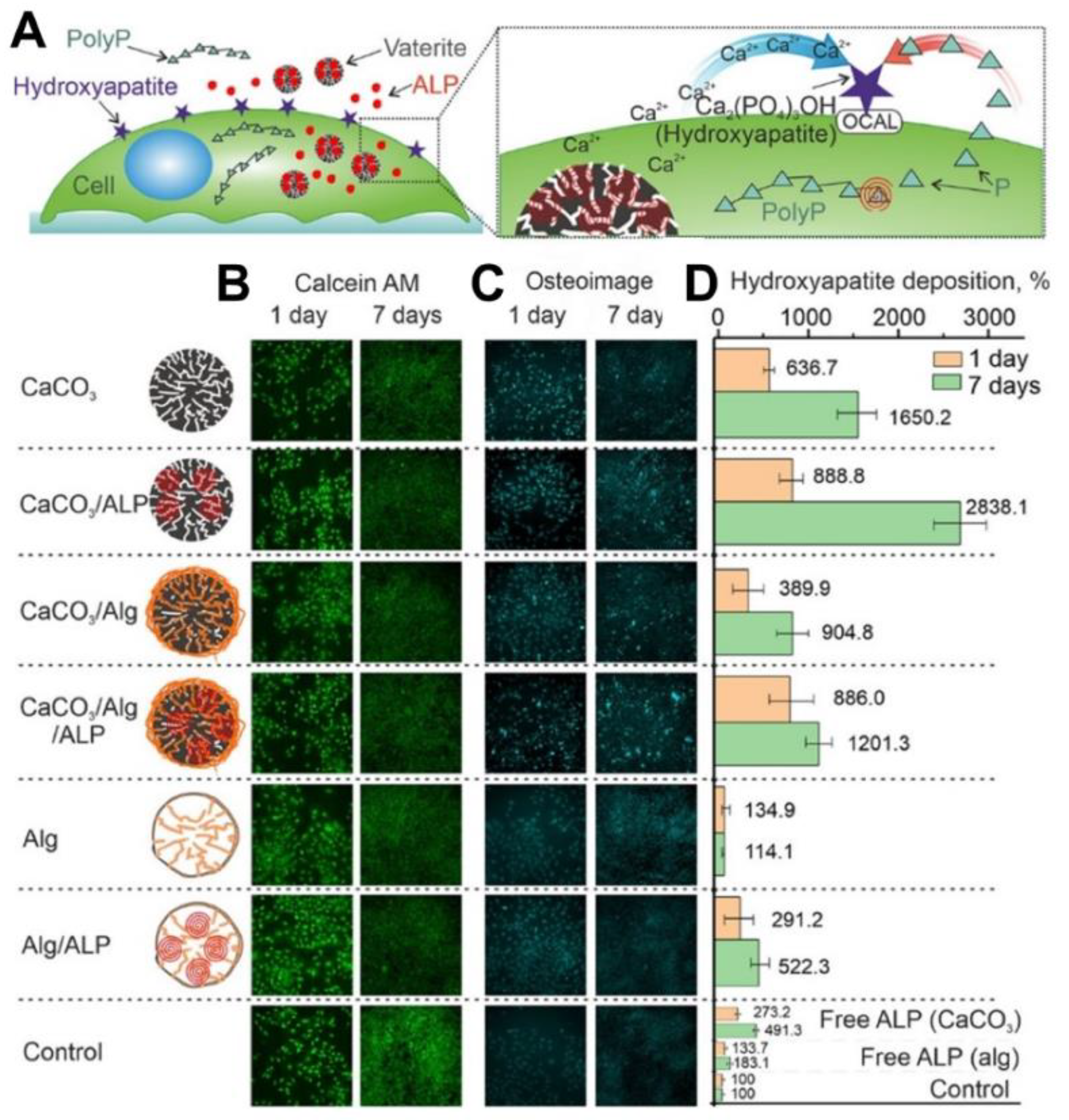 Pharmaceutics 15 02574 g004