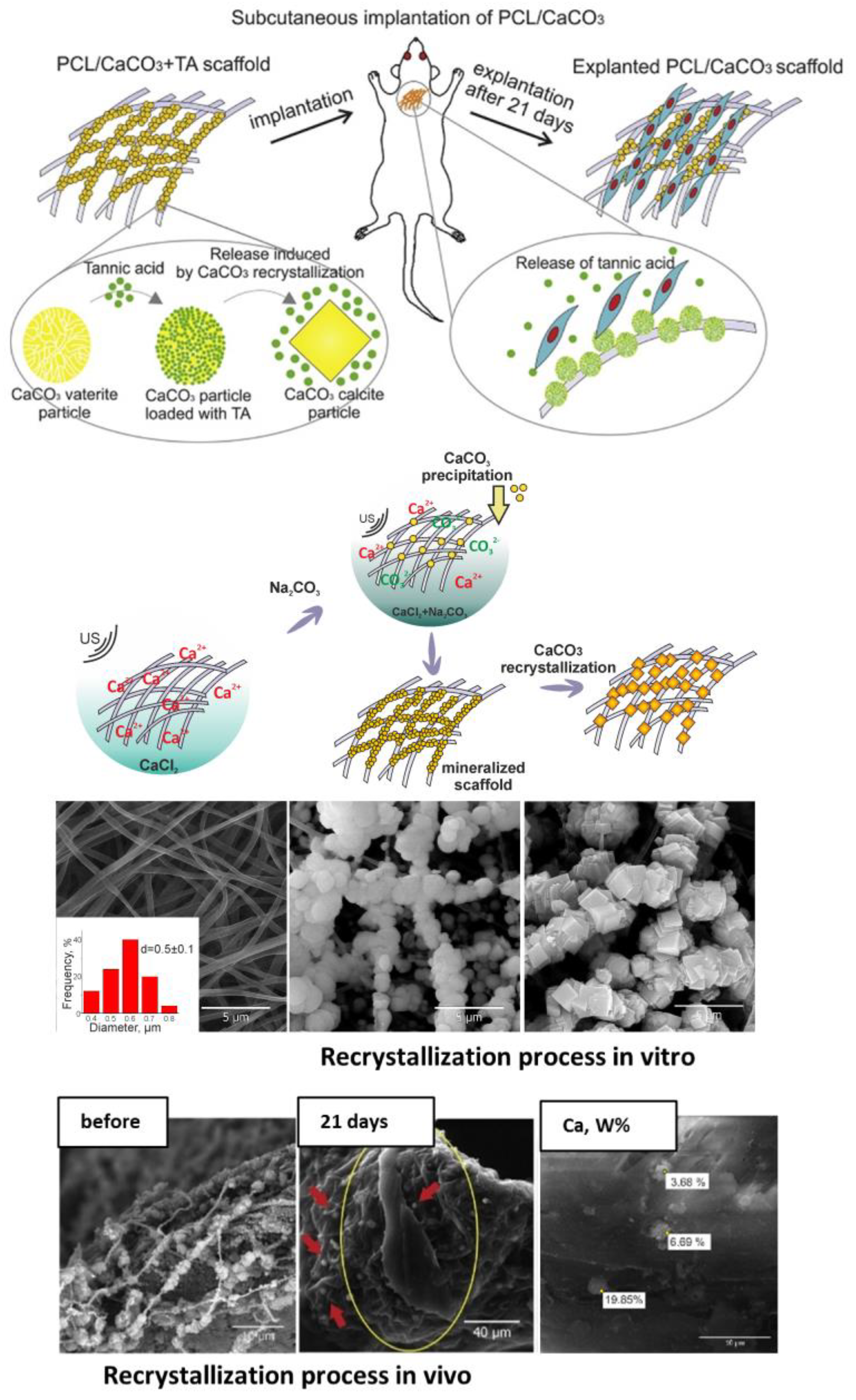 Pharmaceutics 15 02574 g005