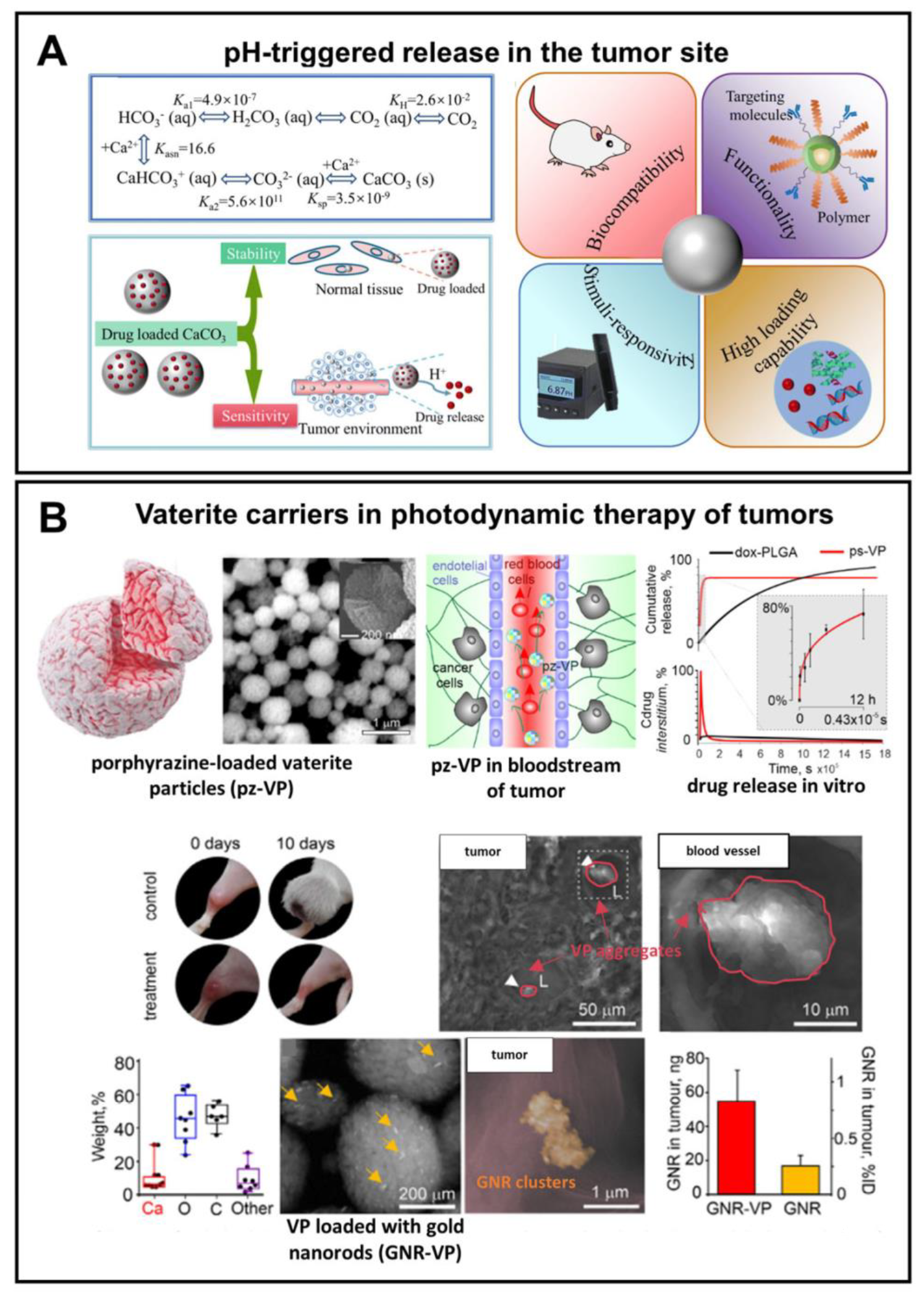 Pharmaceutics 15 02574 g007