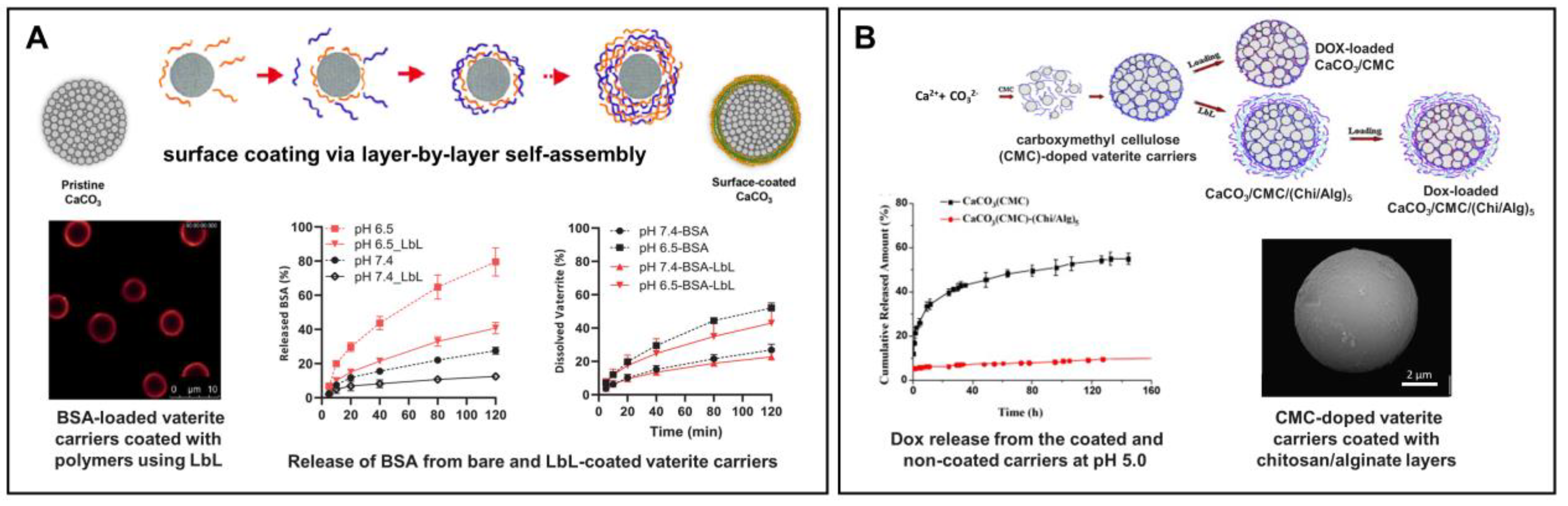 Pharmaceutics 15 02574 g008