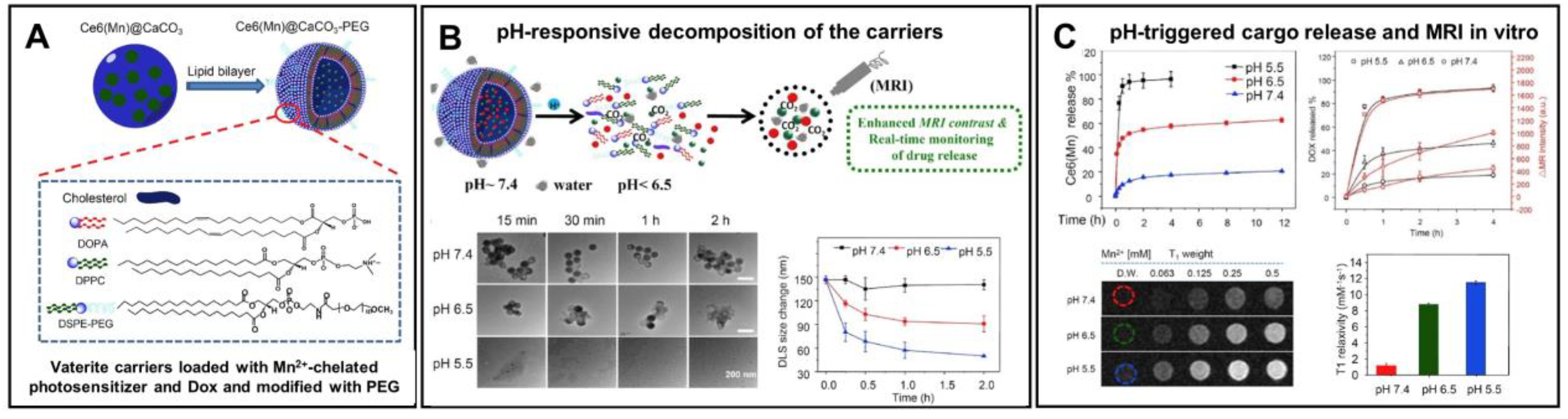 Pharmaceutics 15 02574 g009