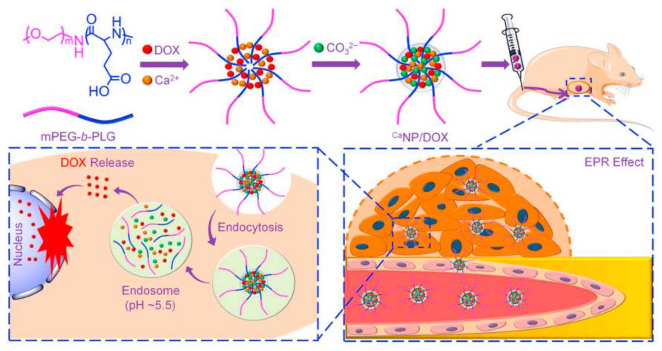 Pharmaceutics 15 02574 g010