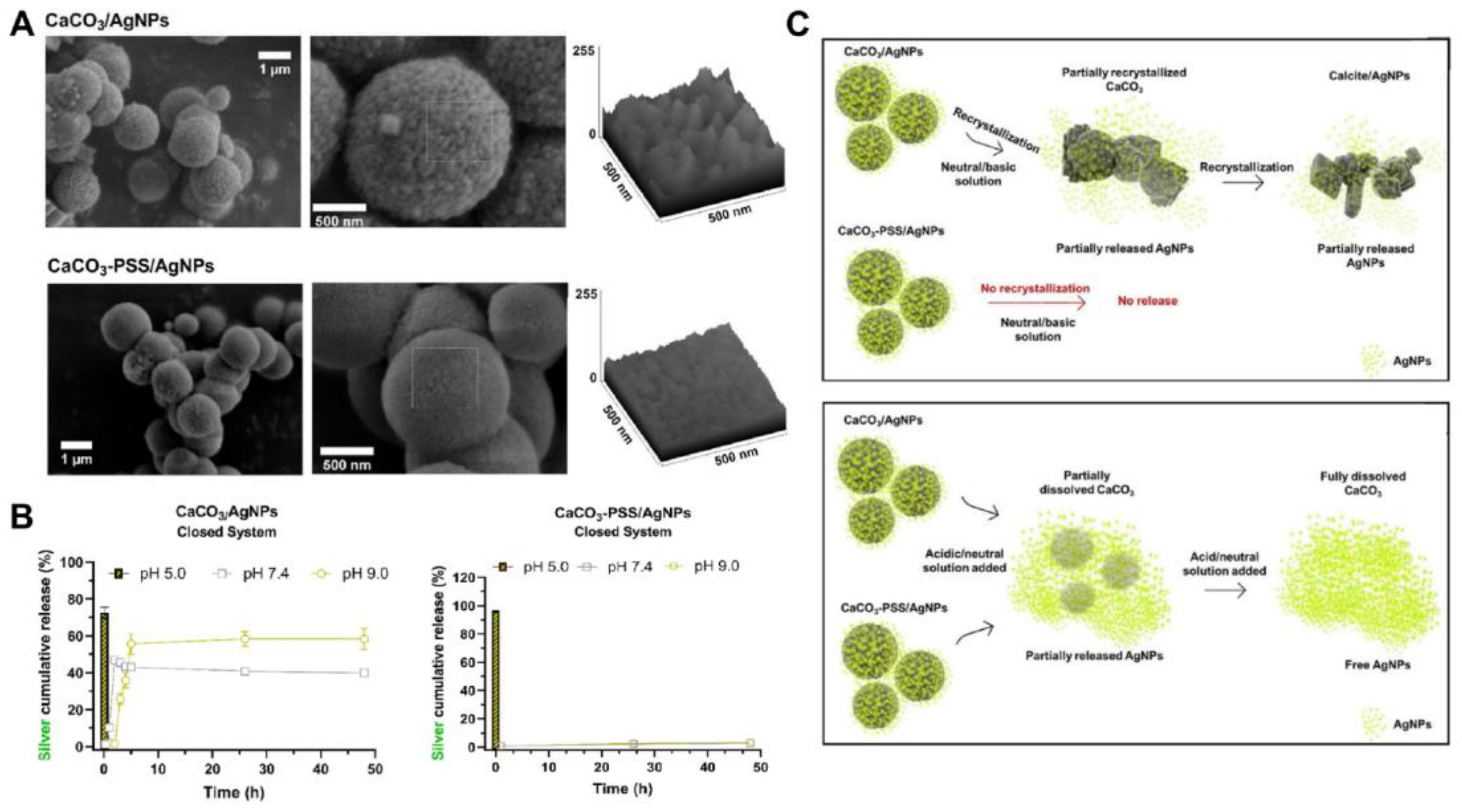 Pharmaceutics 15 02574 g011