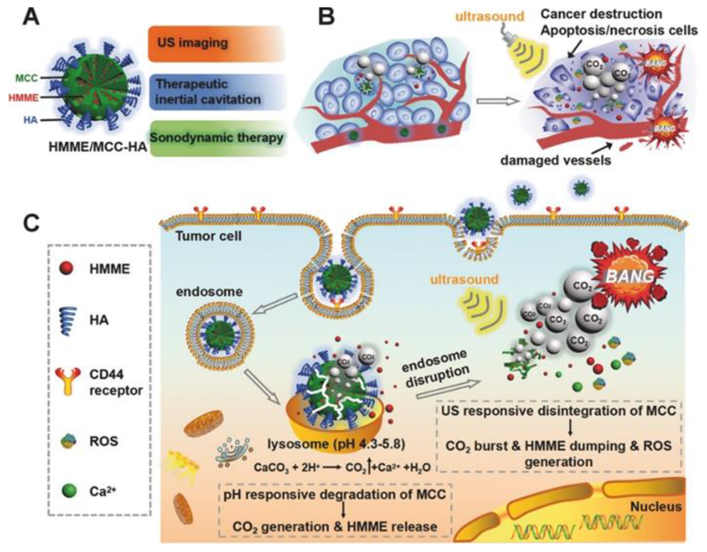 Pharmaceutics 15 02574 g014