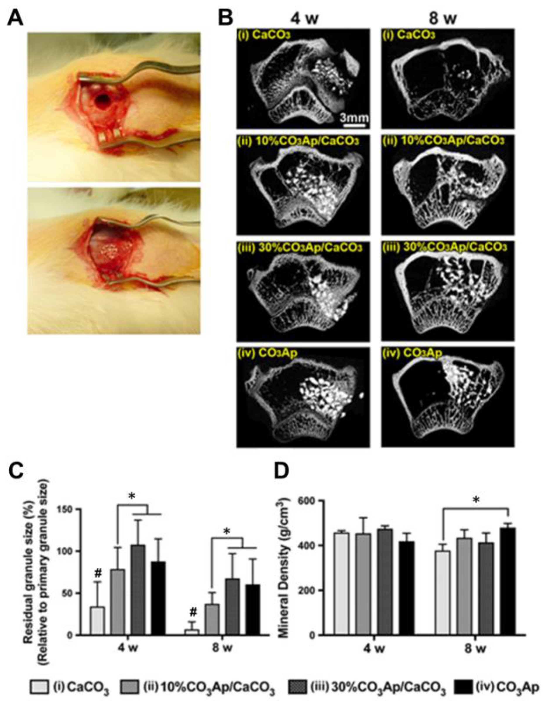 Pharmaceutics 15 02574 g015