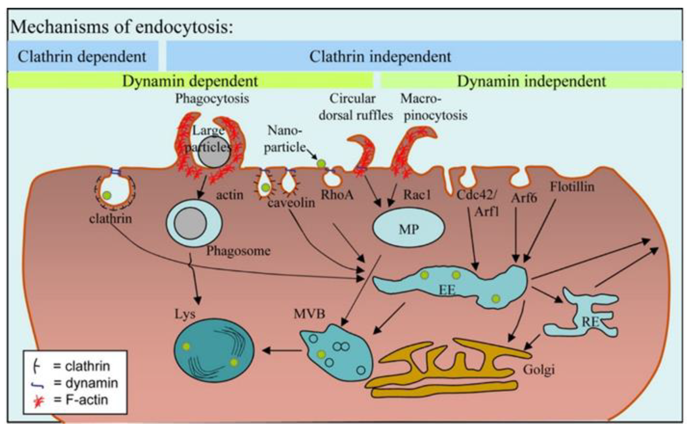 Pharmaceutics 15 02574 g016