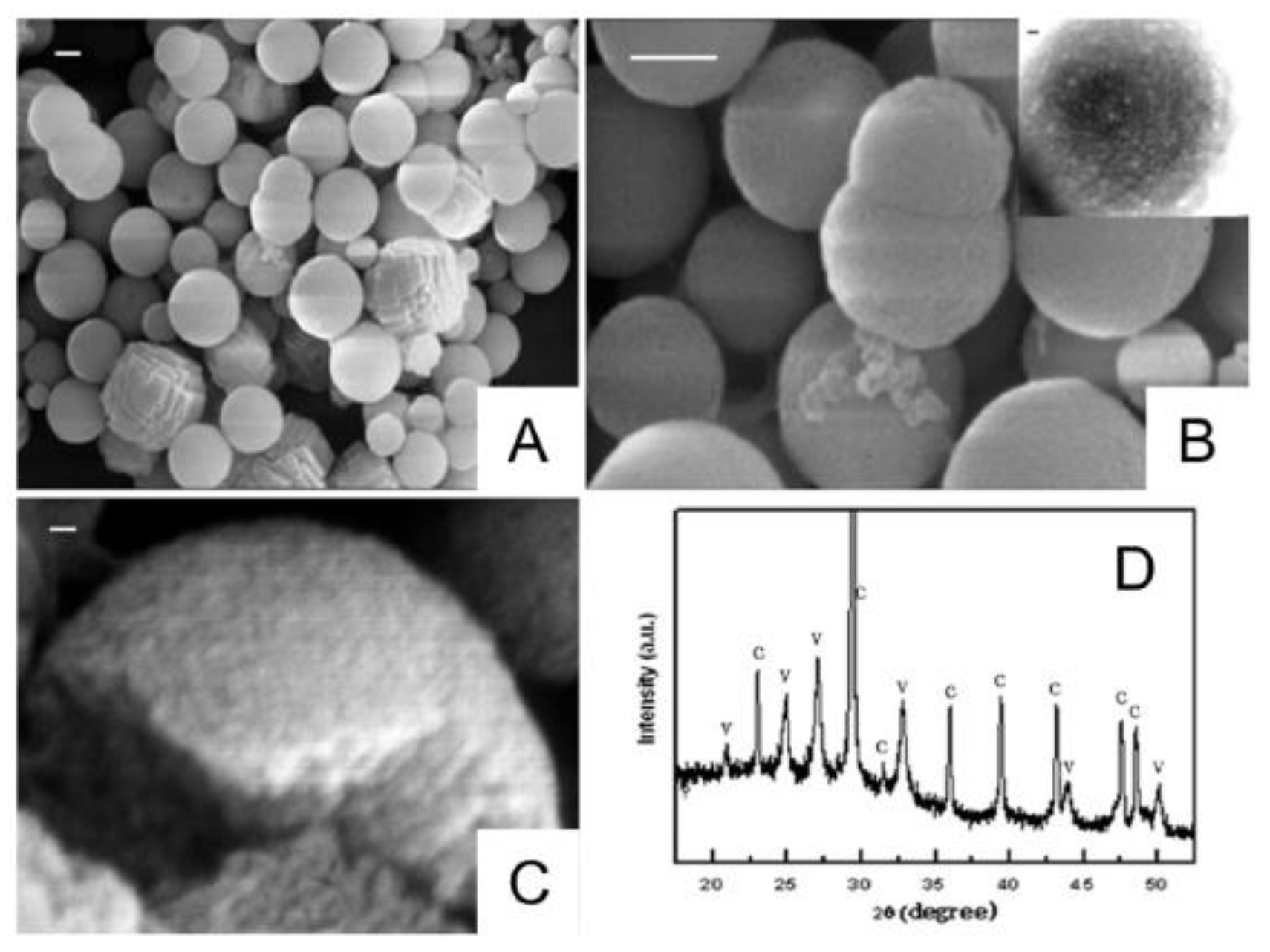 Pharmaceutics 15 02574 g019
