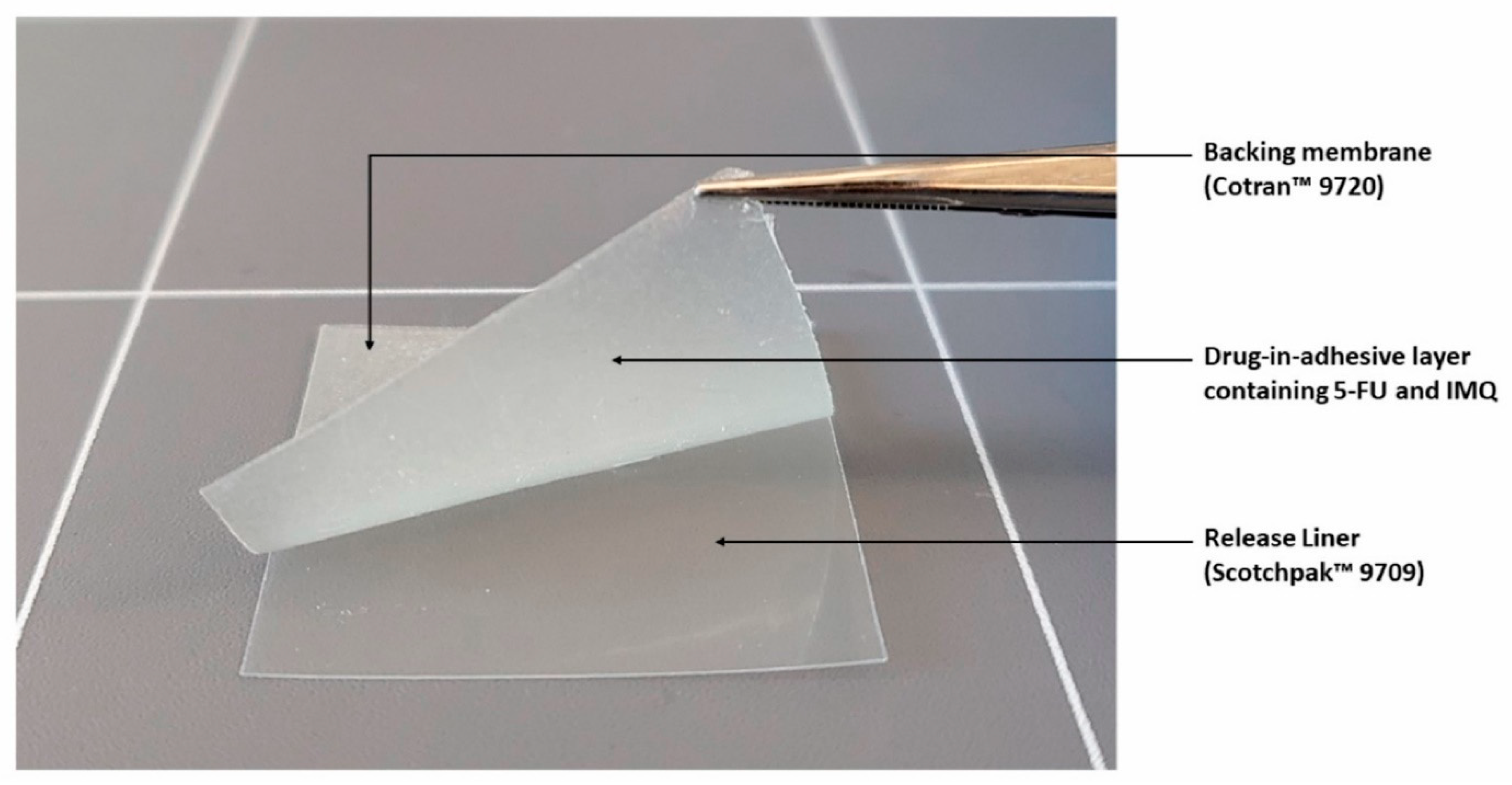 Pharmaceutics 15 02577 g005