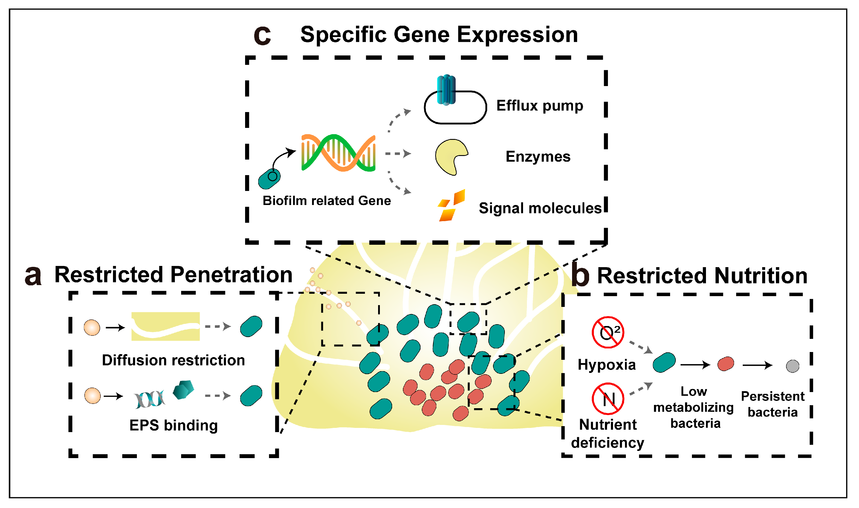 Pharmaceutics 15 02582 g002