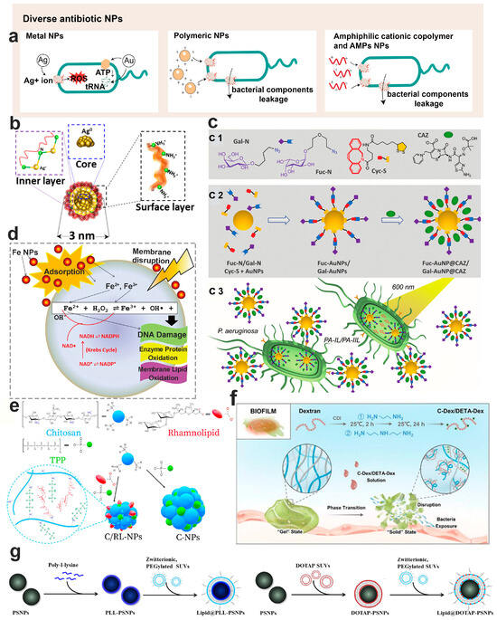 Pharmaceutics 15 02582 g003