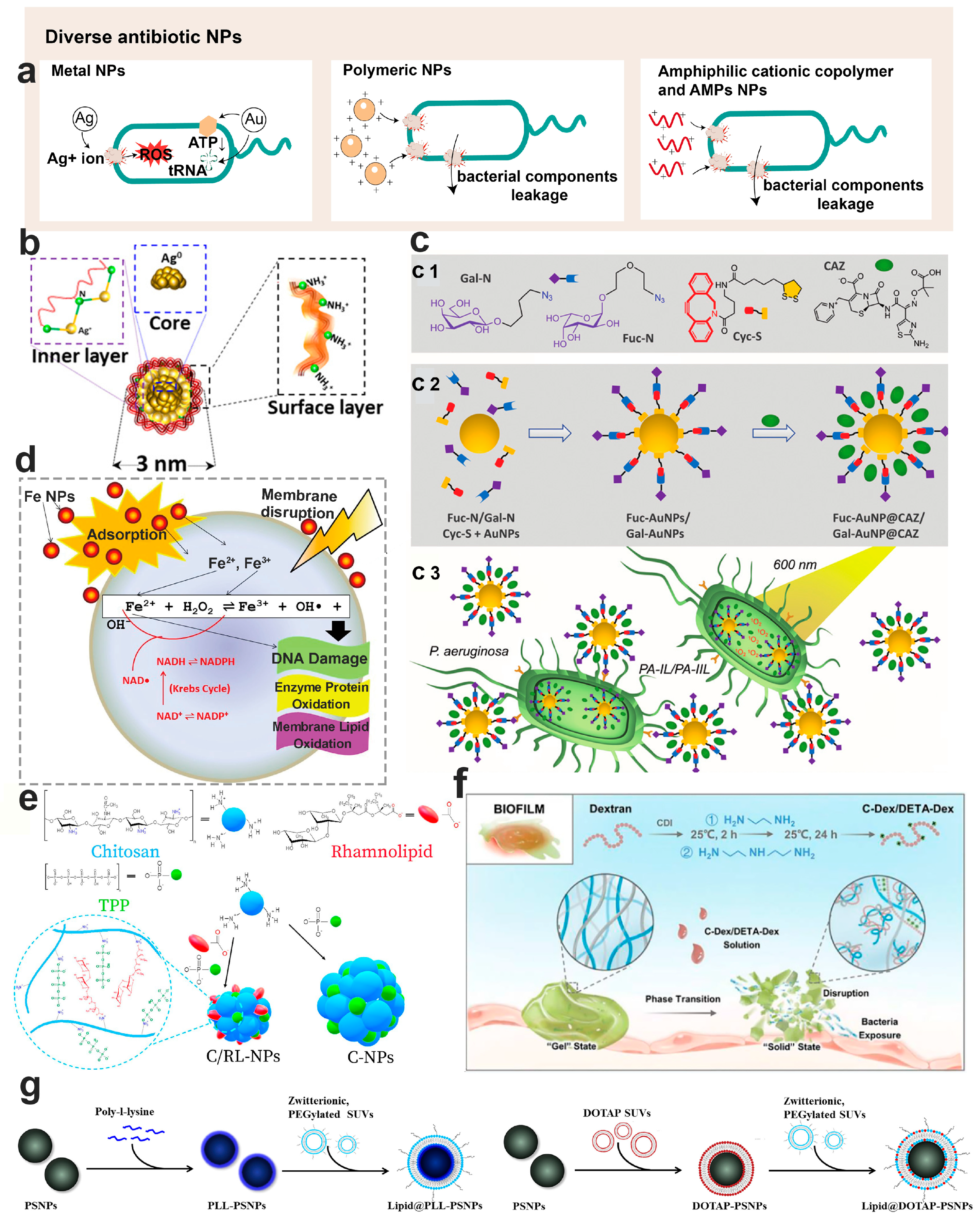 Pharmaceutics 15 02582 g003