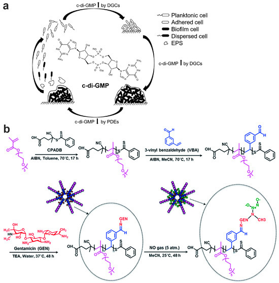 Pharmaceutics 15 02582 g005