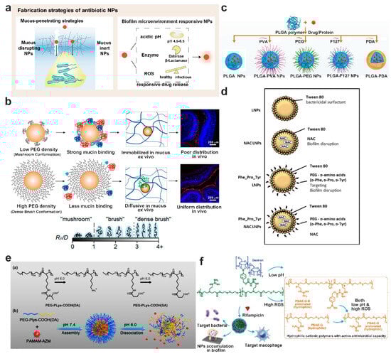 Pharmaceutics 15 02582 g006