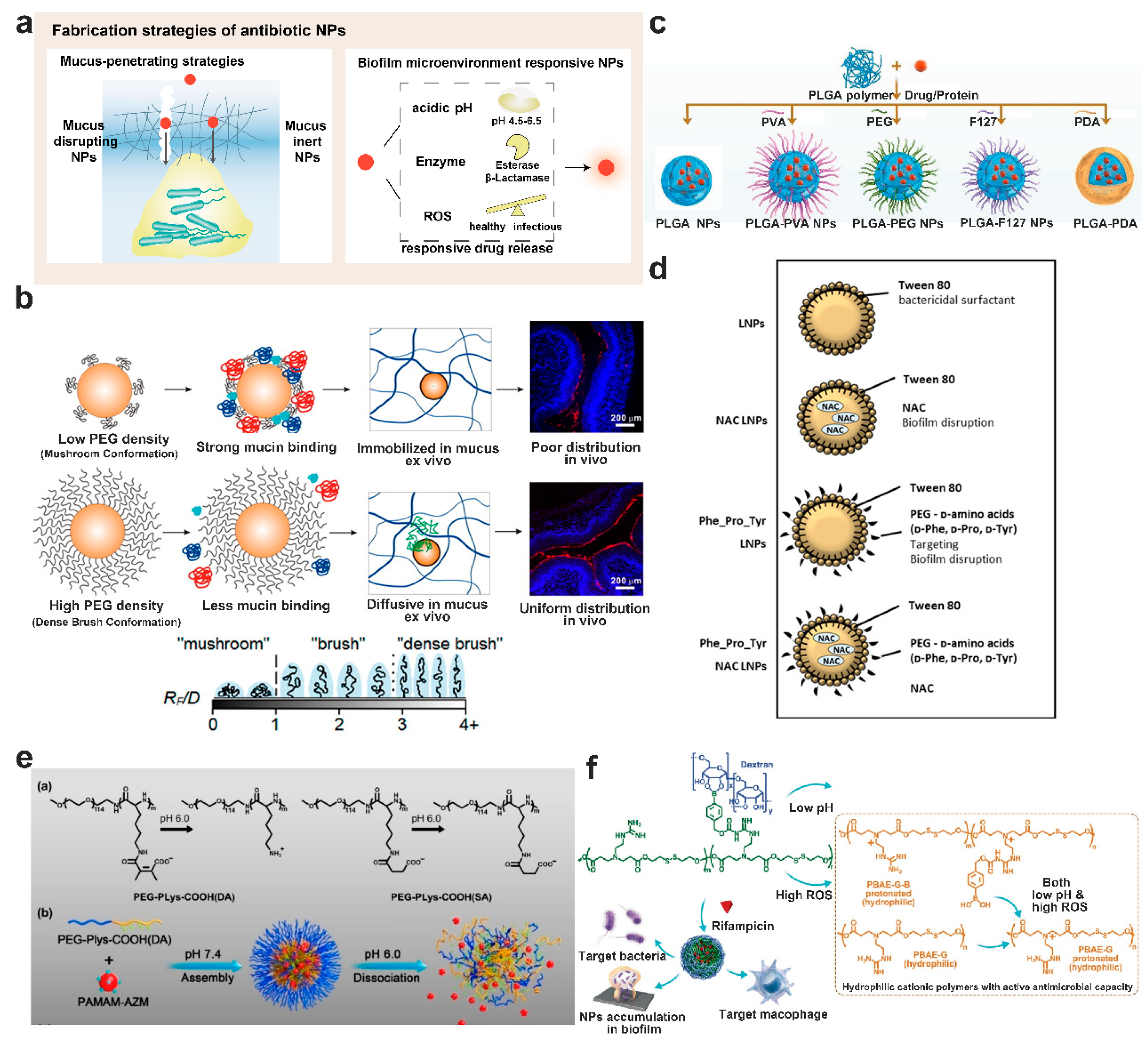 Pharmaceutics 15 02582 g006