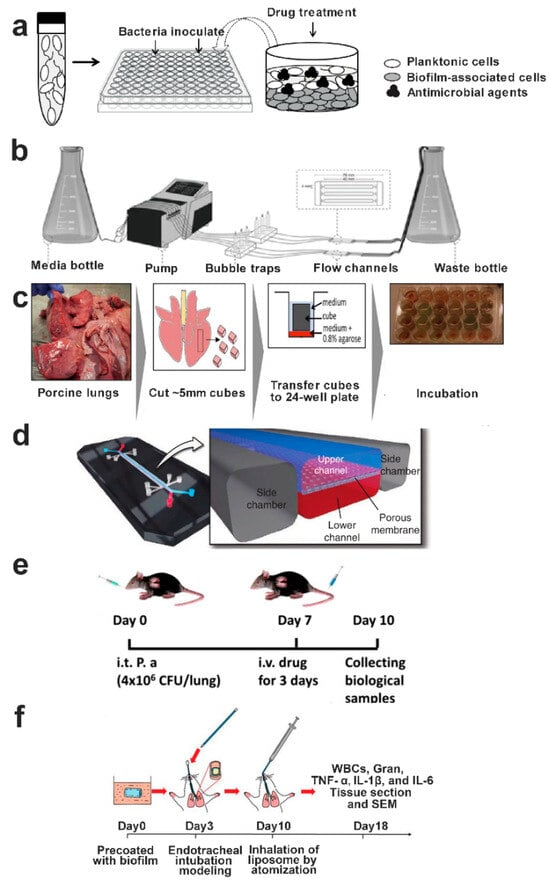 Pharmaceutics 15 02582 g007