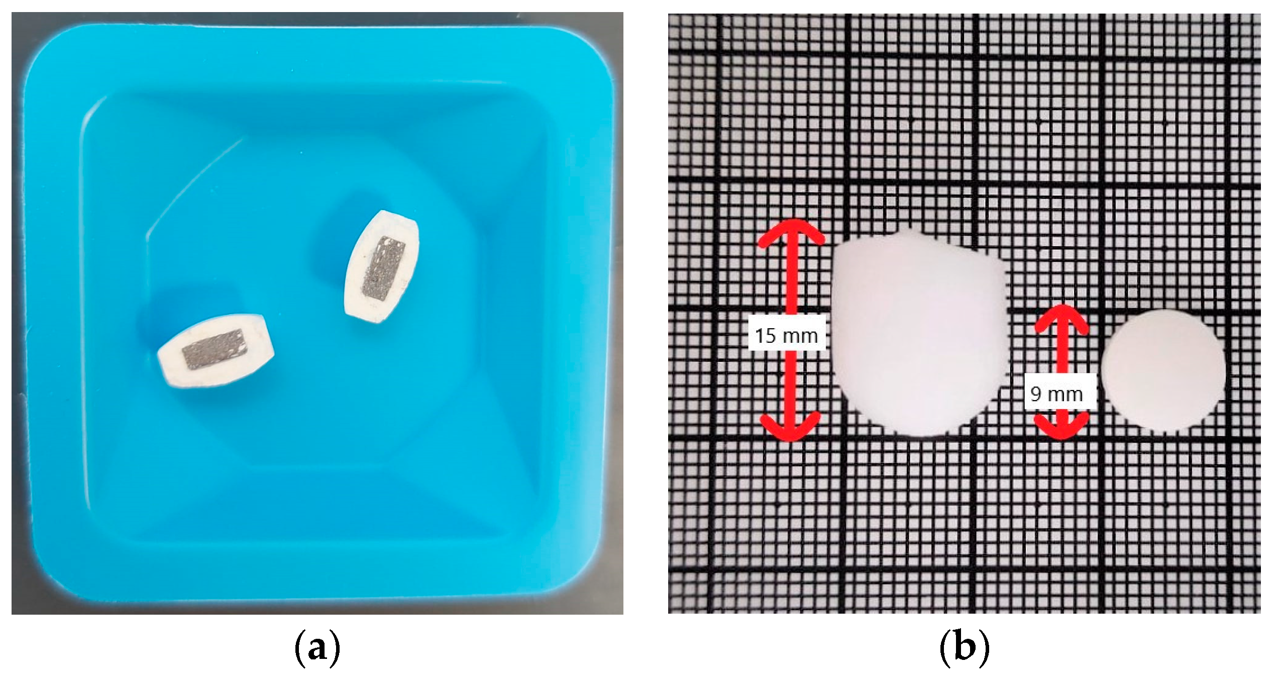 Pharmaceutics 15 02584 g002