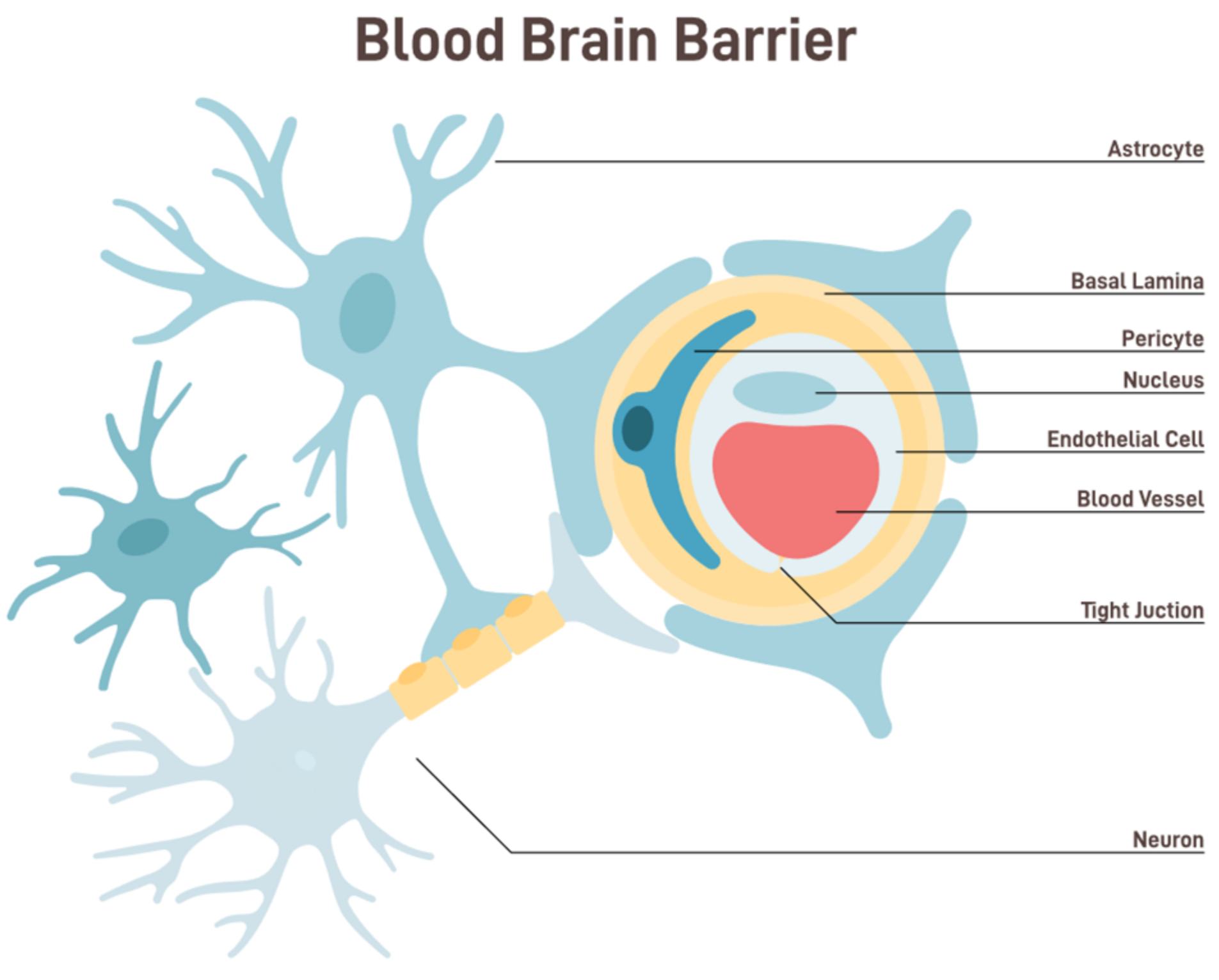 Pharmaceutics 15 02599 g001
