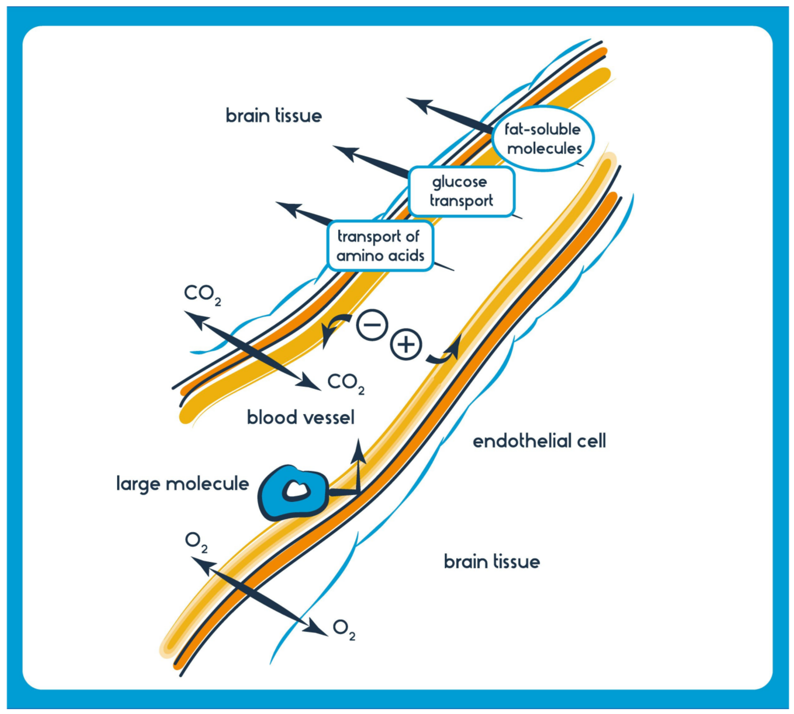 Pharmaceutics 15 02599 g003