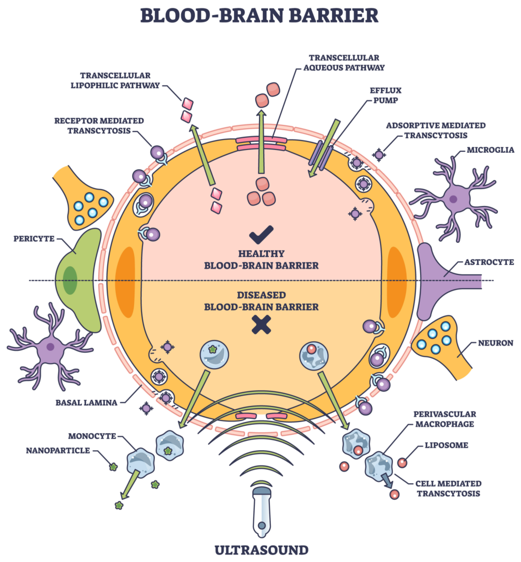 Pharmaceutics 15 02599 g004