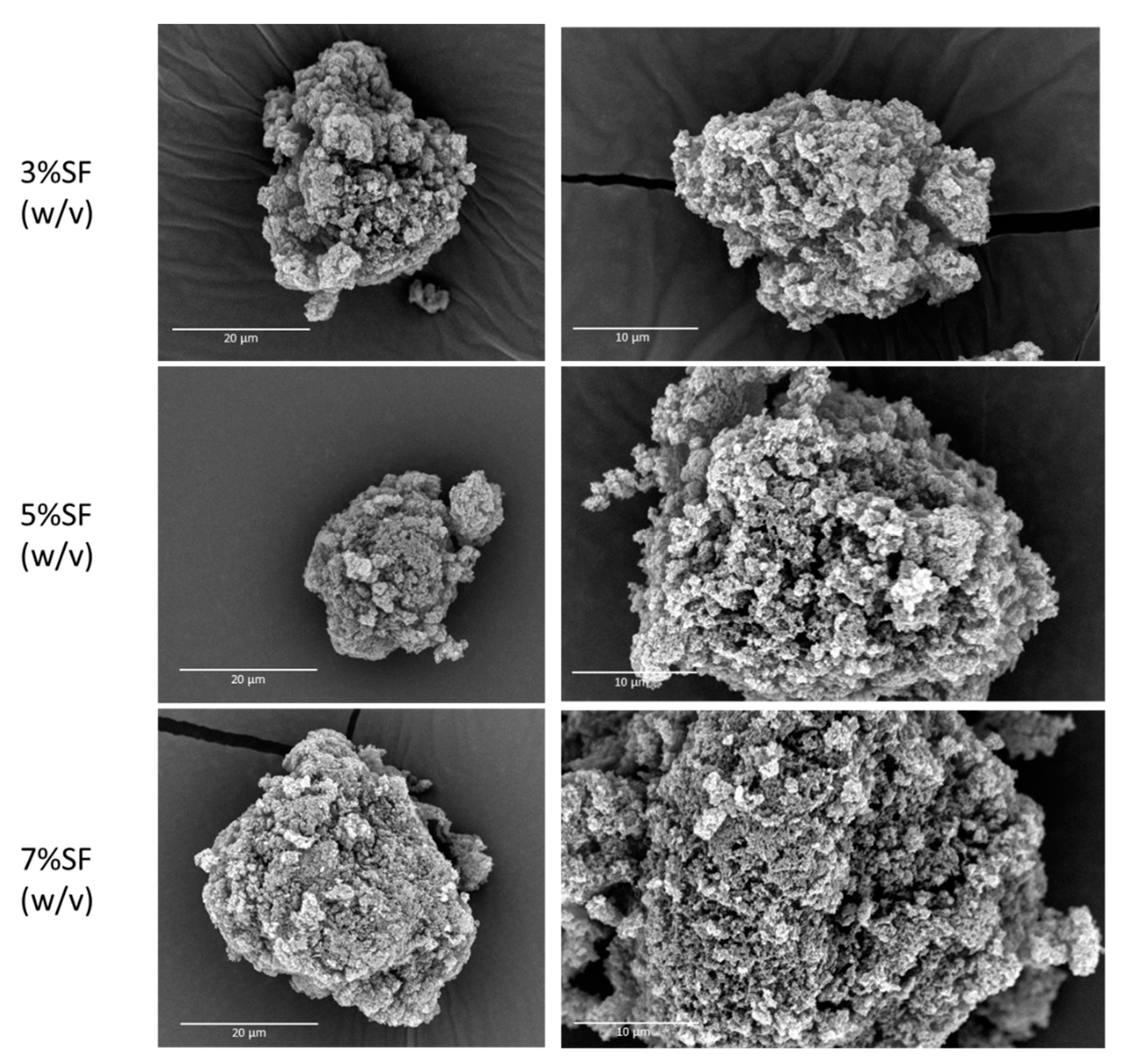 Pharmaceutics 15 02605 g002