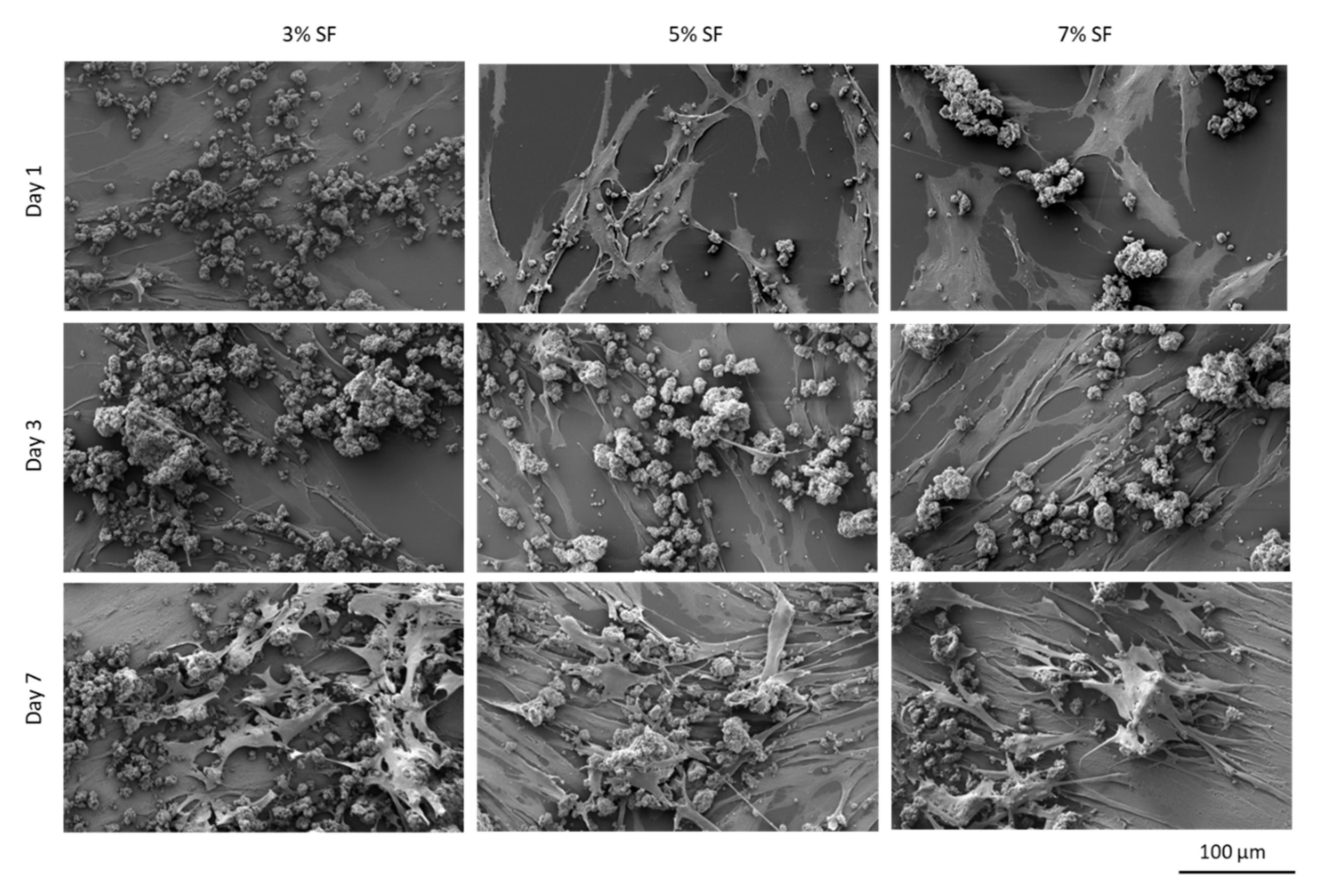 Pharmaceutics 15 02605 g006
