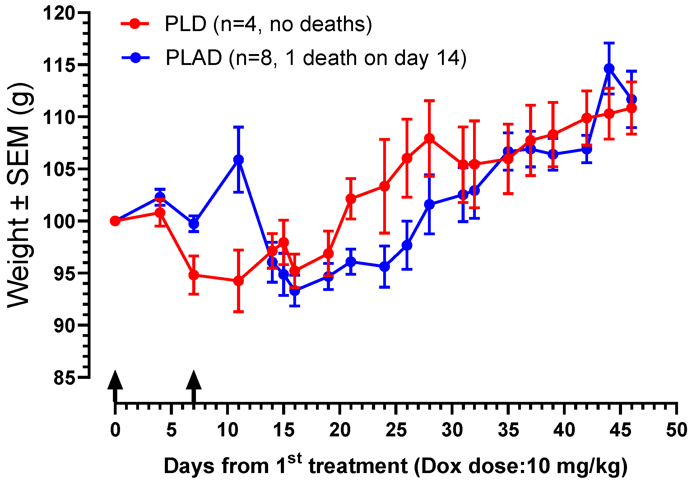 Pharmaceutics 15 02606 g006