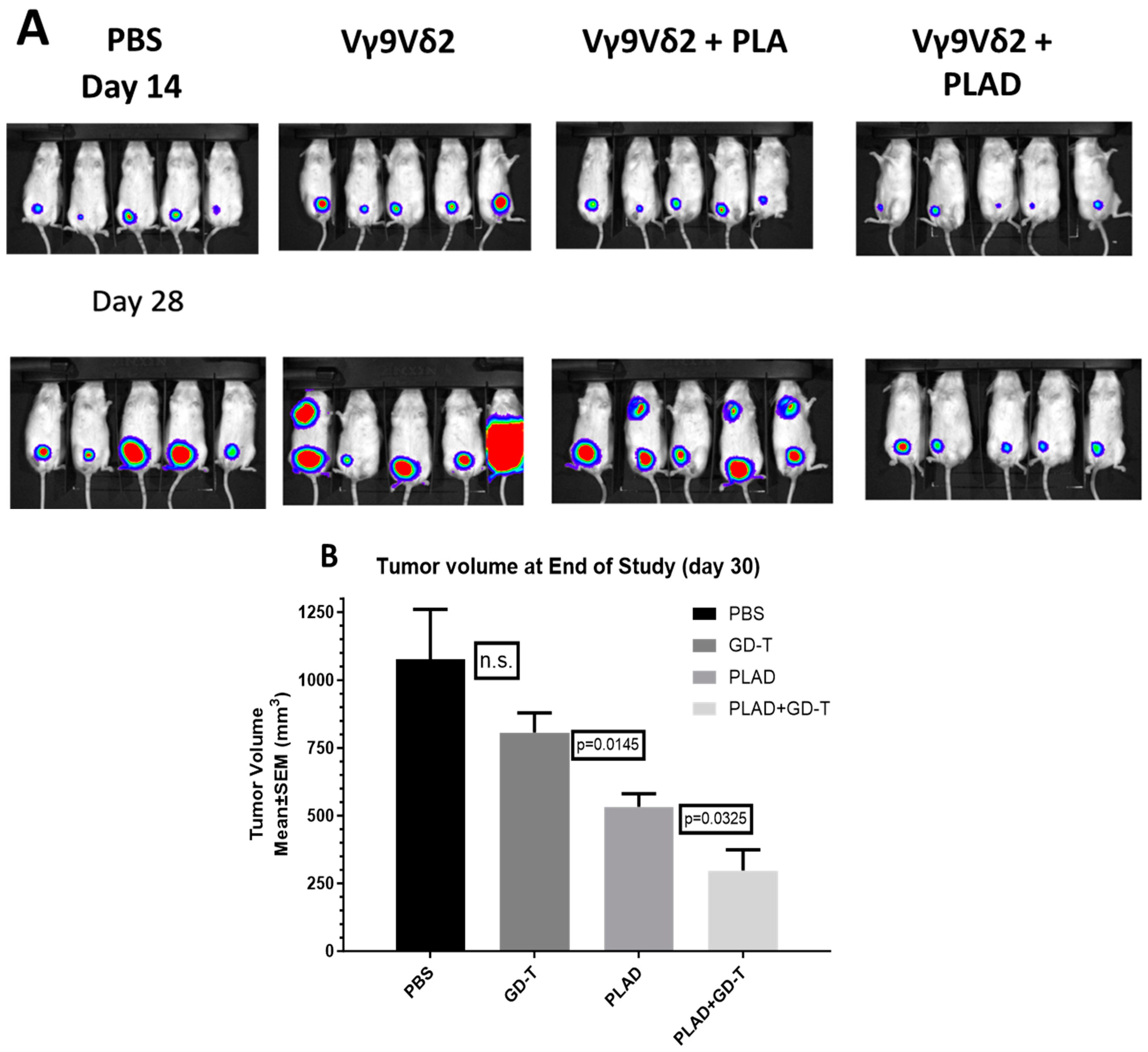 Pharmaceutics 15 02606 g009