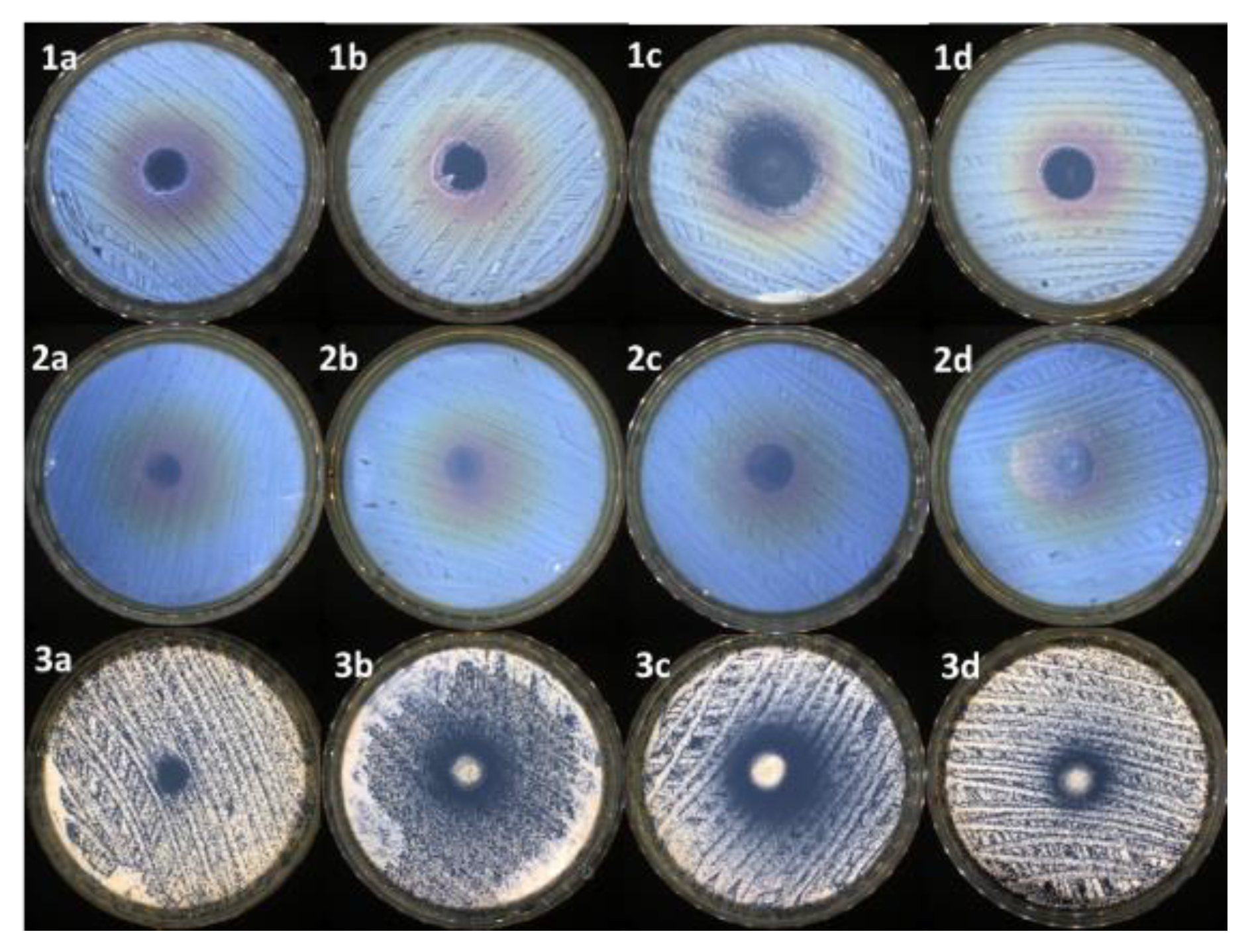 Pharmaceutics 15 02608 g005