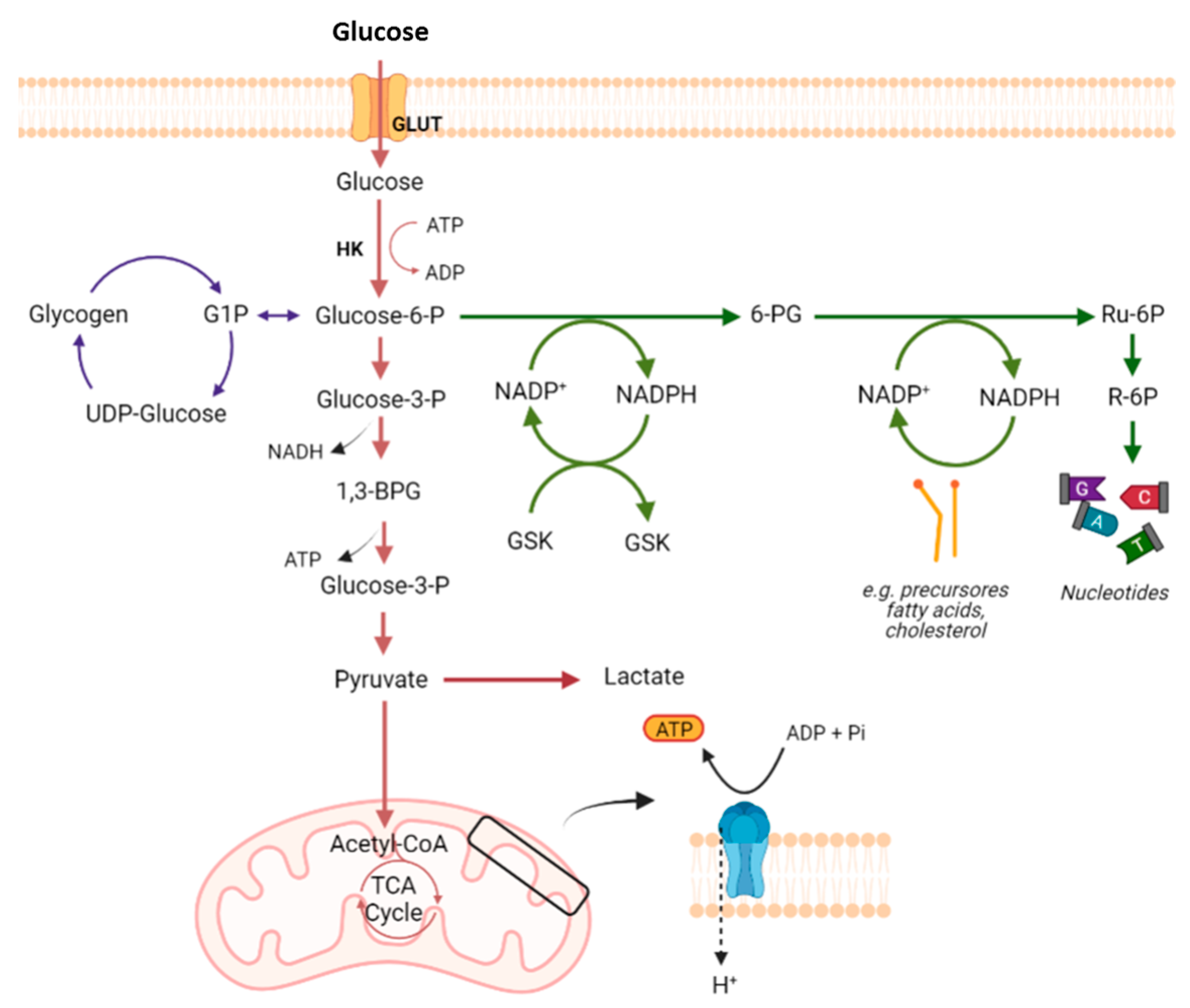 Pharmaceutics 15 02610 g001