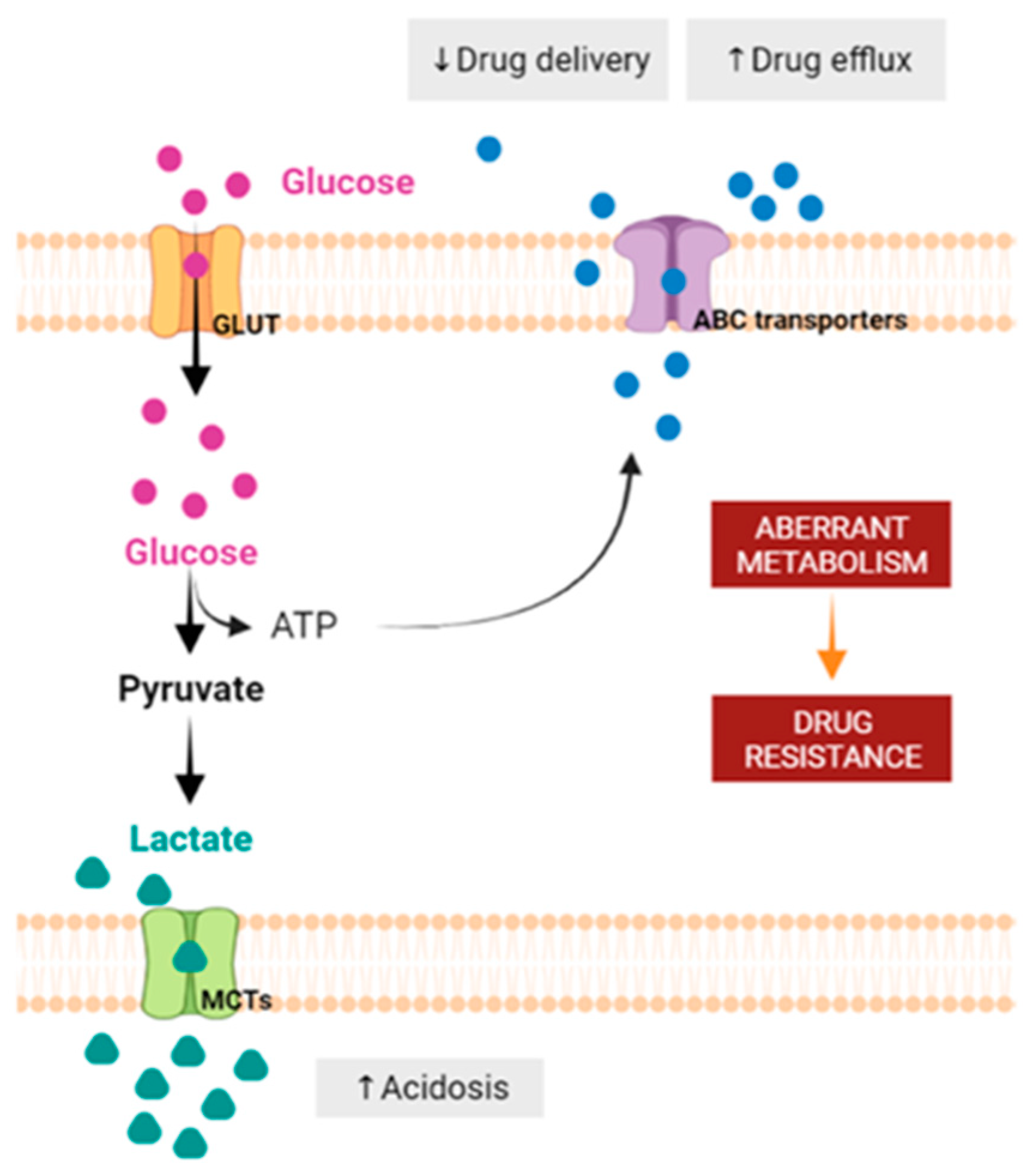 Pharmaceutics 15 02610 g005