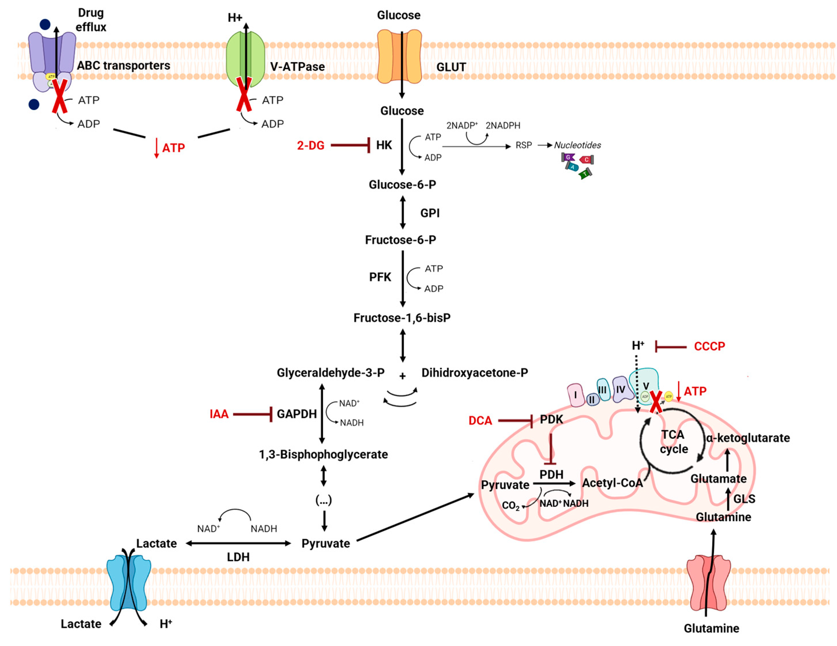 Pharmaceutics 15 02610 g006