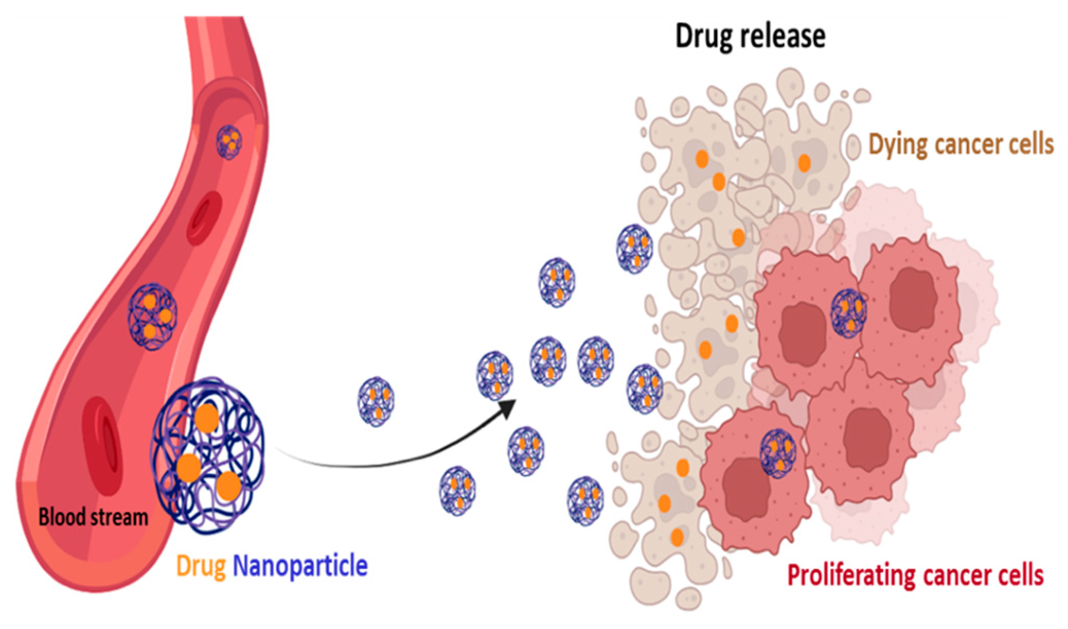 Pharmaceutics 15 02610 g007