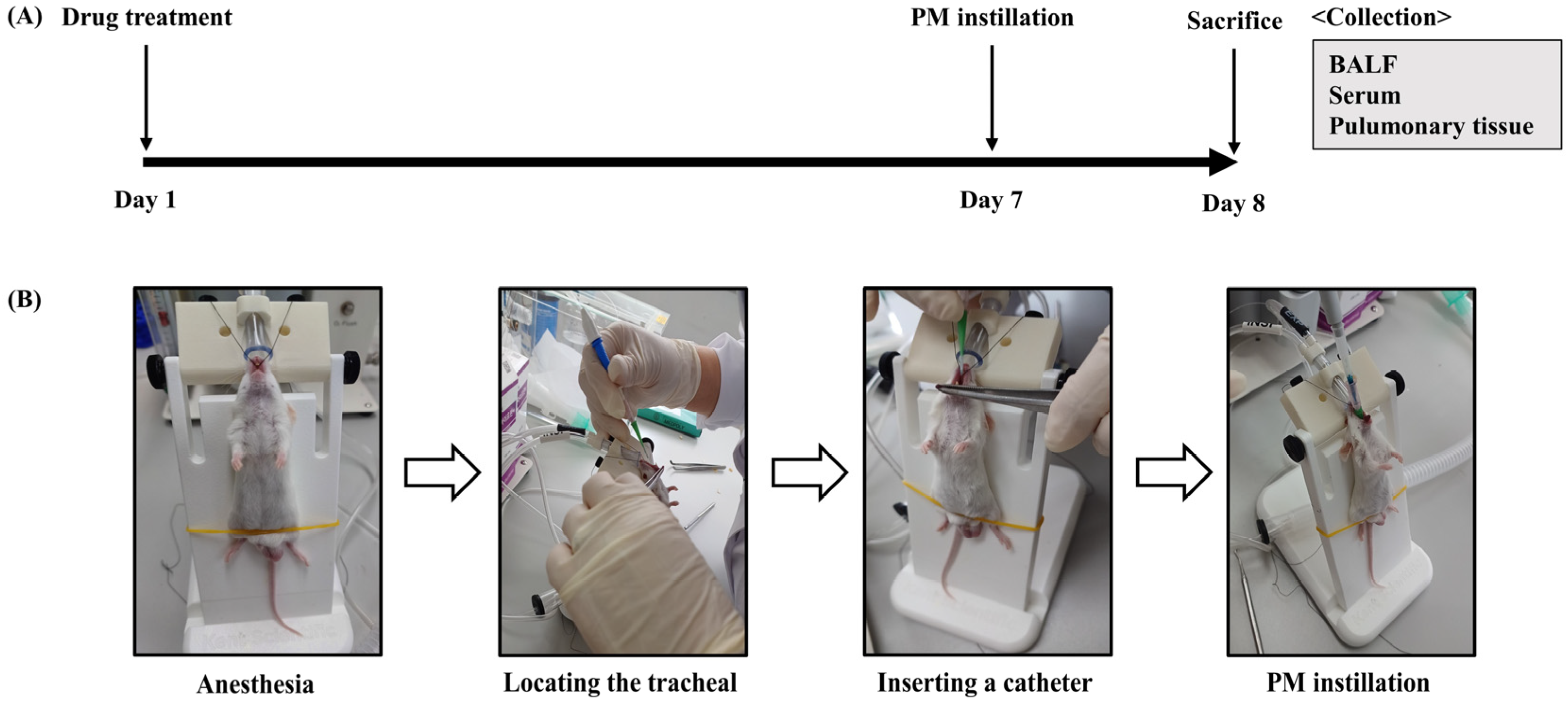 Pharmaceutics 15 02621 g001