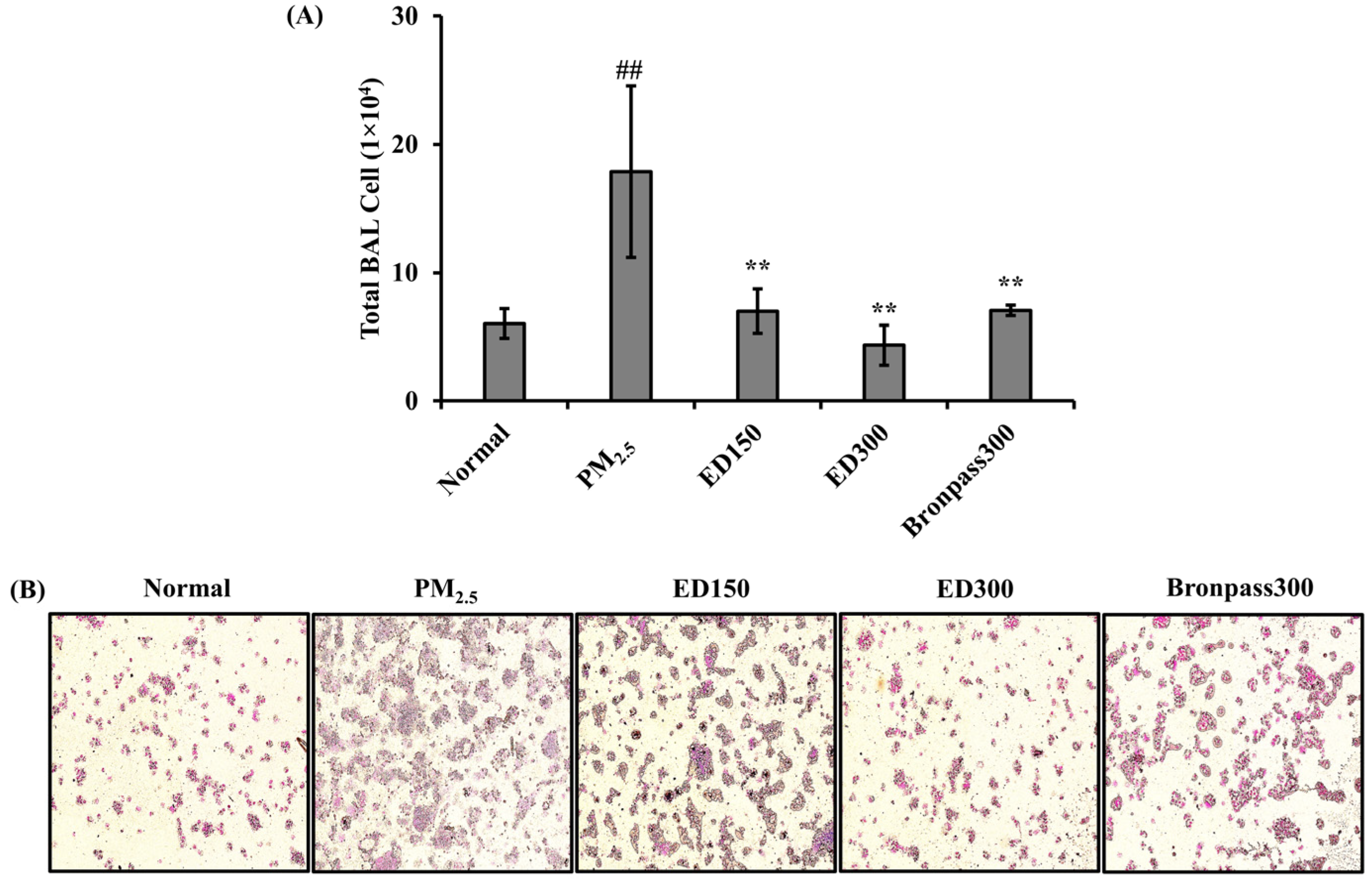 Pharmaceutics 15 02621 g004