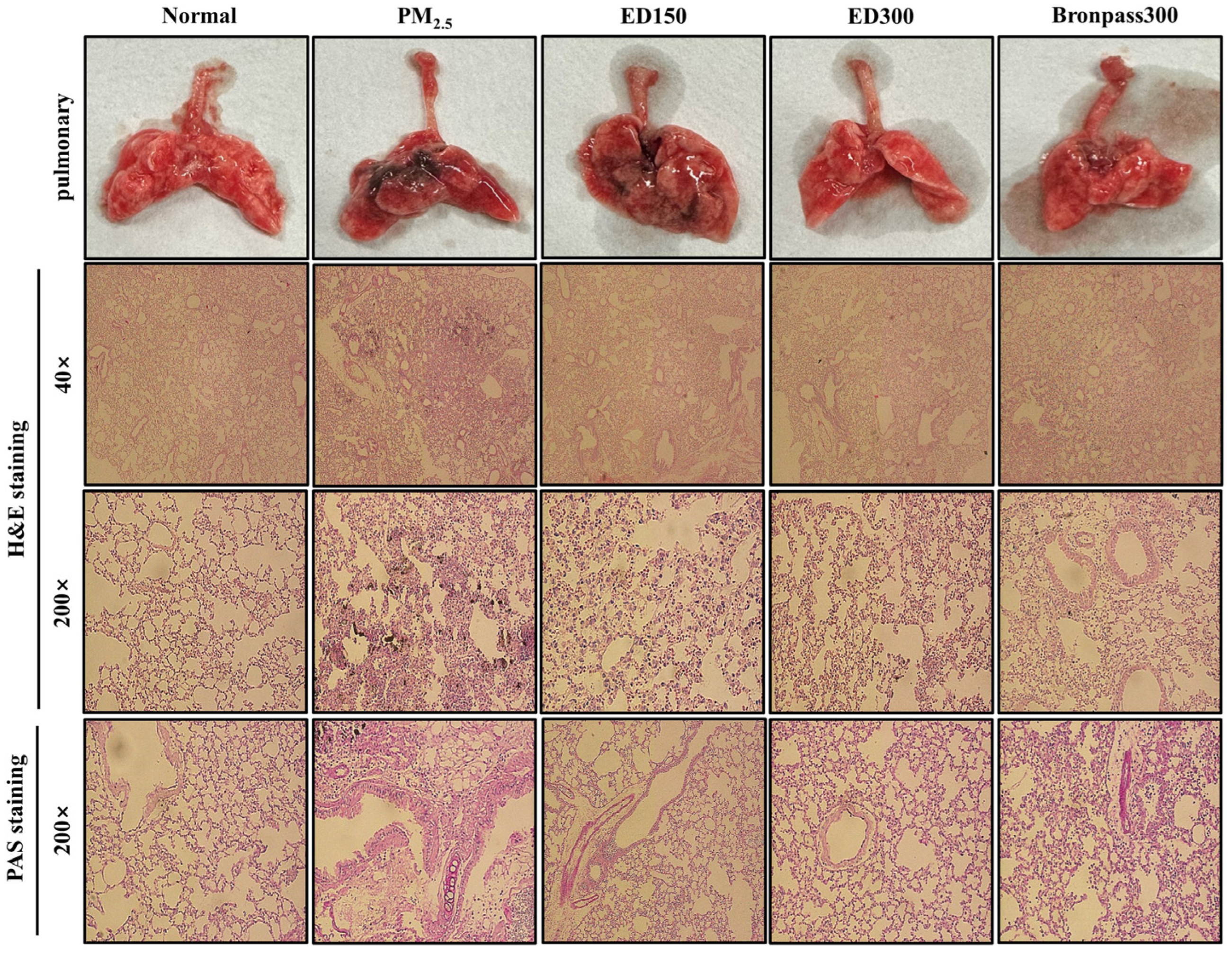 Pharmaceutics 15 02621 g005