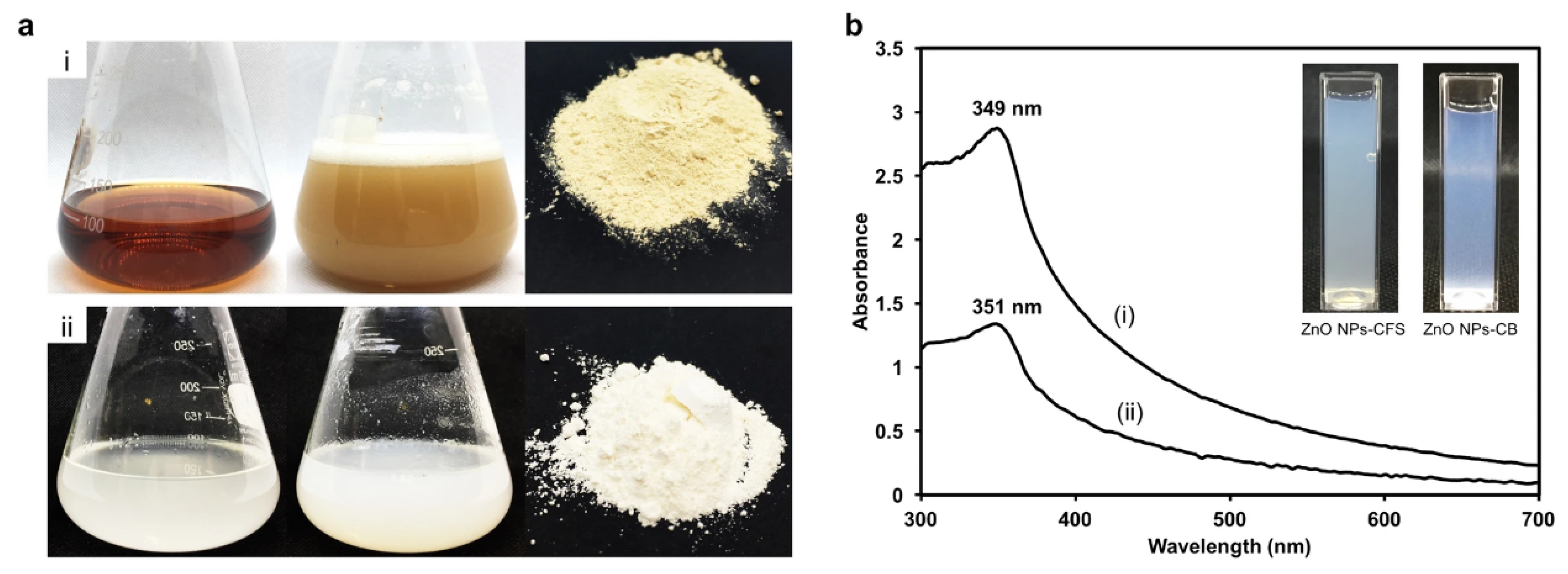 Pharmaceutics 15 02634 g002