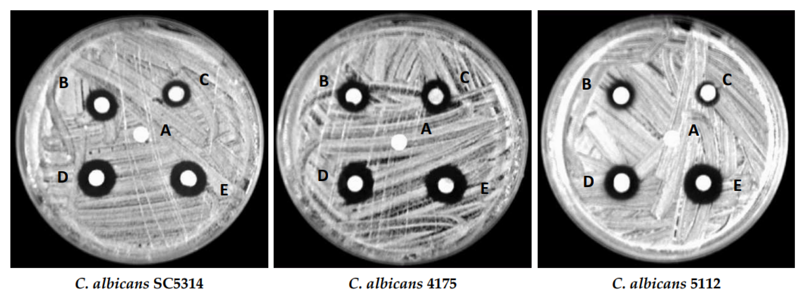 Pharmaceutics 15 02634 g005
