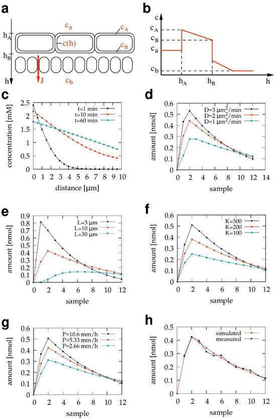 Pharmaceutics 15 02646 g005
