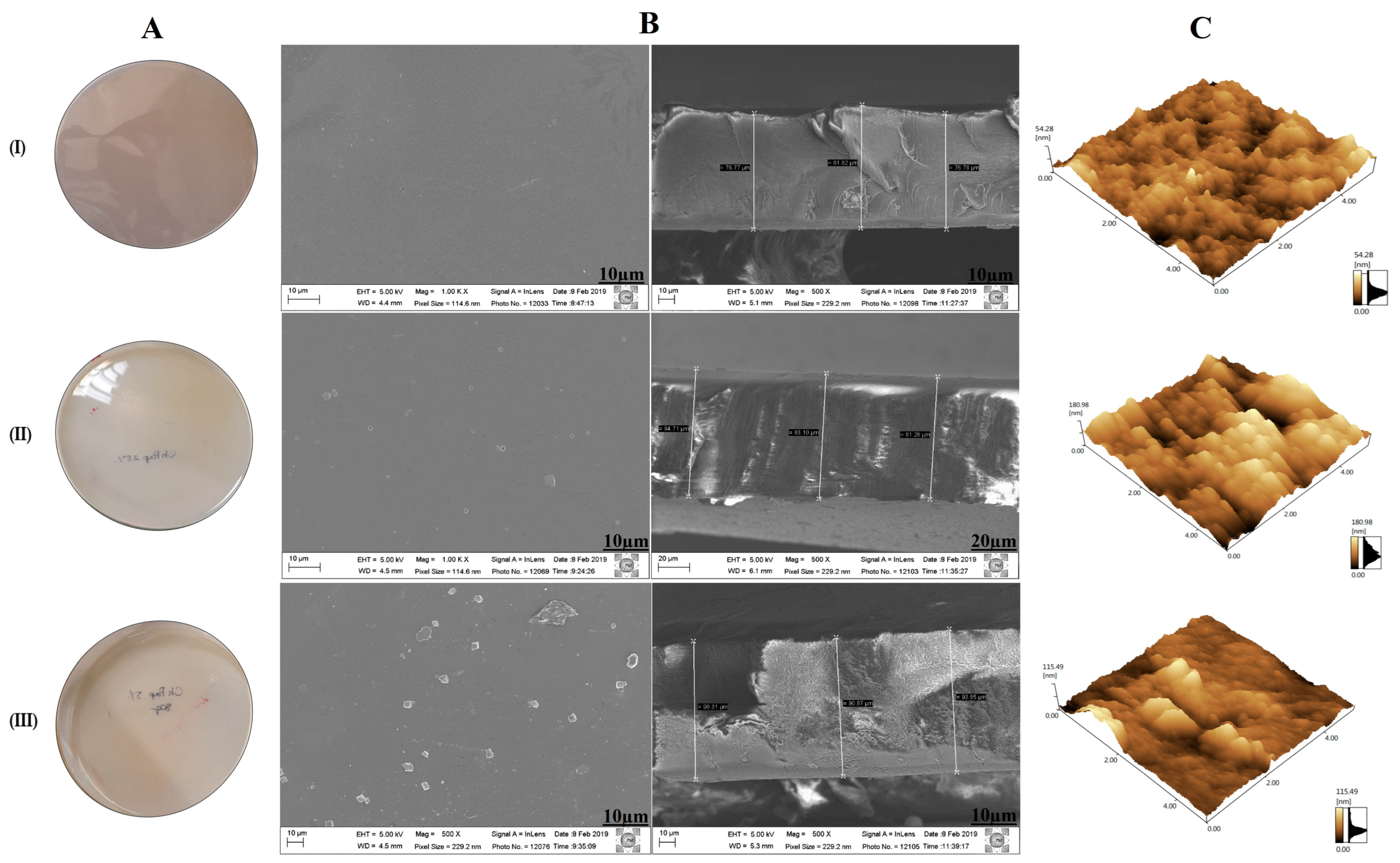 Pharmaceutics 15 02649 g002