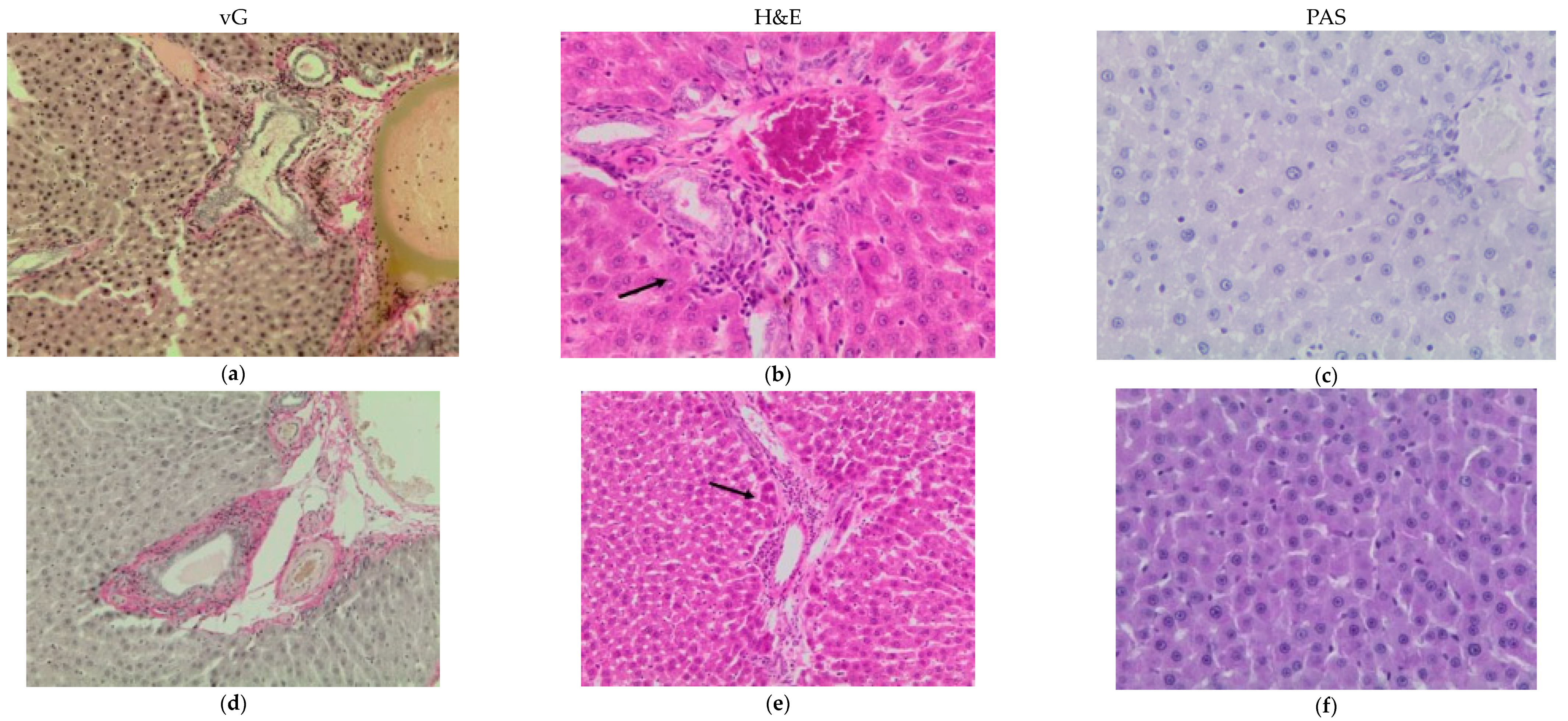 Pharmaceutics 15 02657 g004a