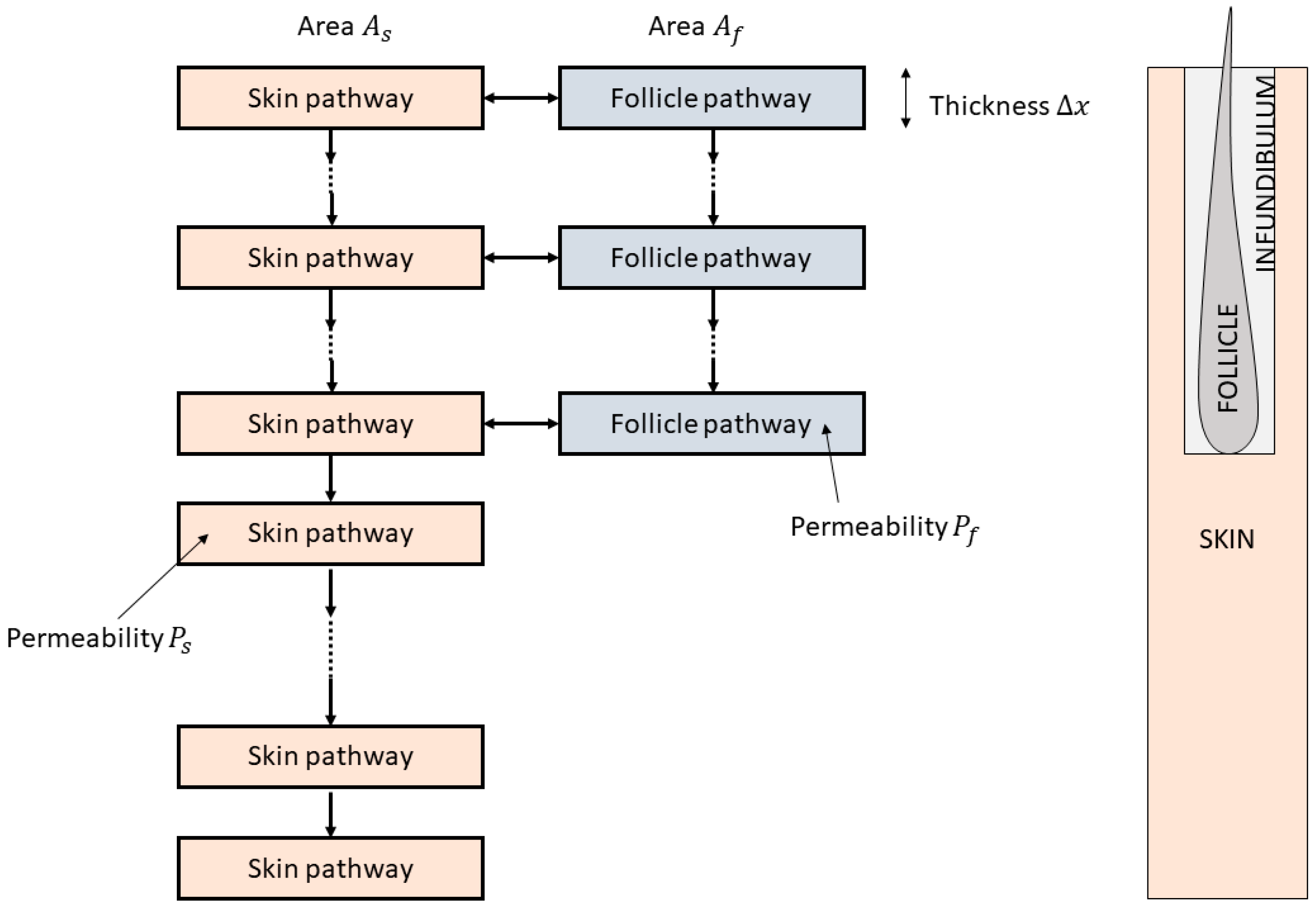 Pharmaceutics 15 02667 g0a1