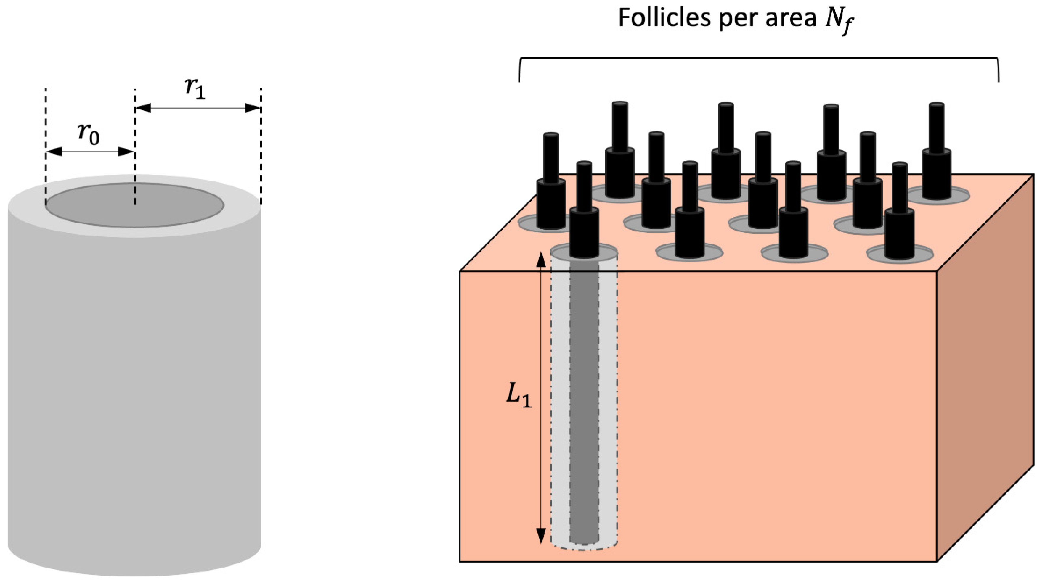 Pharmaceutics 15 02667 g0a2